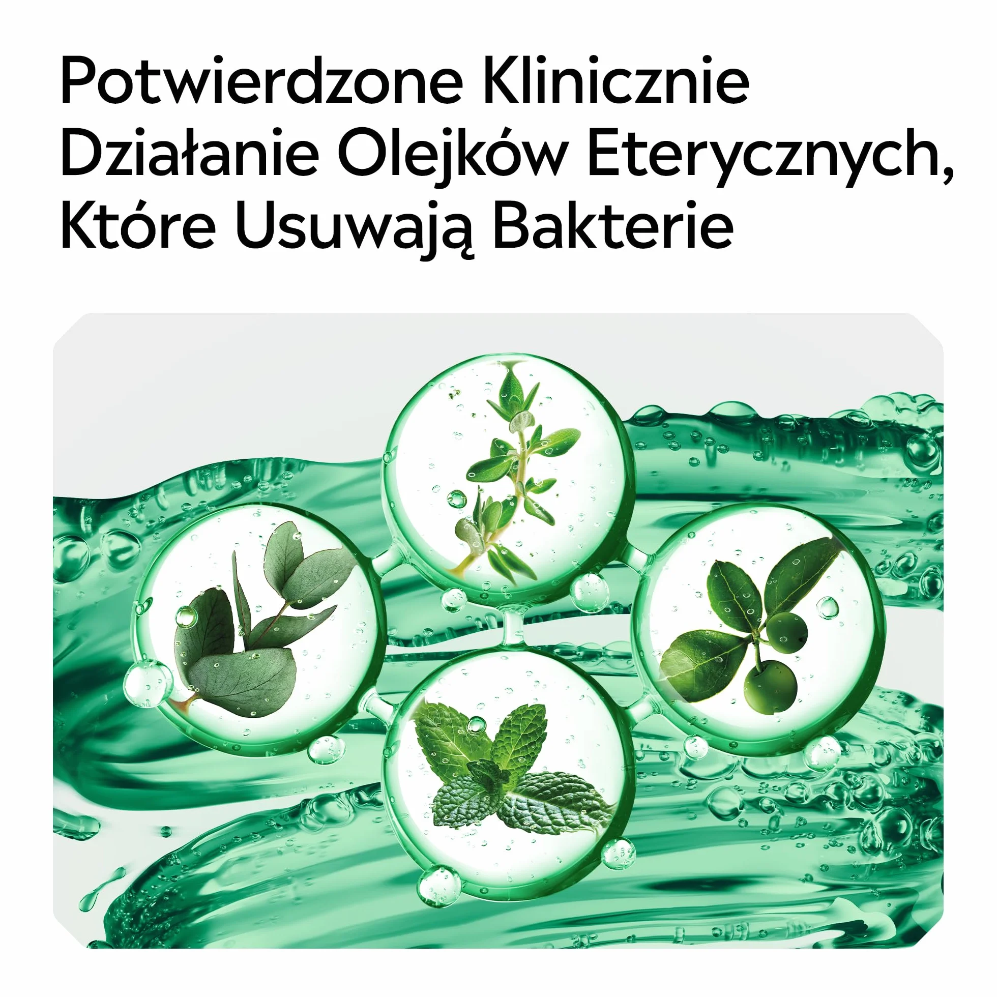 LISTERINE Fresh Burst 500ml, Płyn do płukania jamy ustnej z olejkami eterycznymi, usuwa bakterie, redukuje płytkę nazębną, długotrwale odświeża oddech