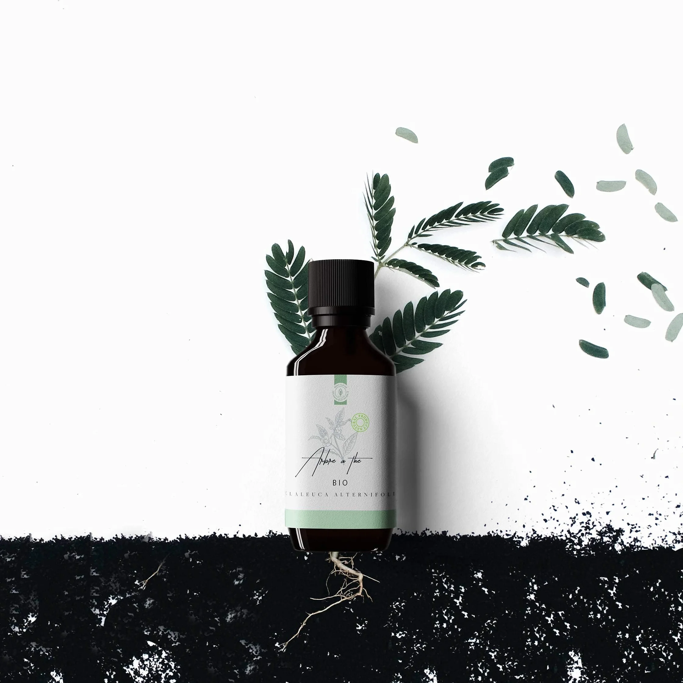 50ml Bio Olejek z Drzewa Herbacianego (Tea Tree/Melaleuca alternifolia) - 100% Czysty, Naturalny i Organiczny - Olejek Eteryczny z Drzewa Herbacianego Wspomaga Skórę z Niedoskonałościami Pryszcze