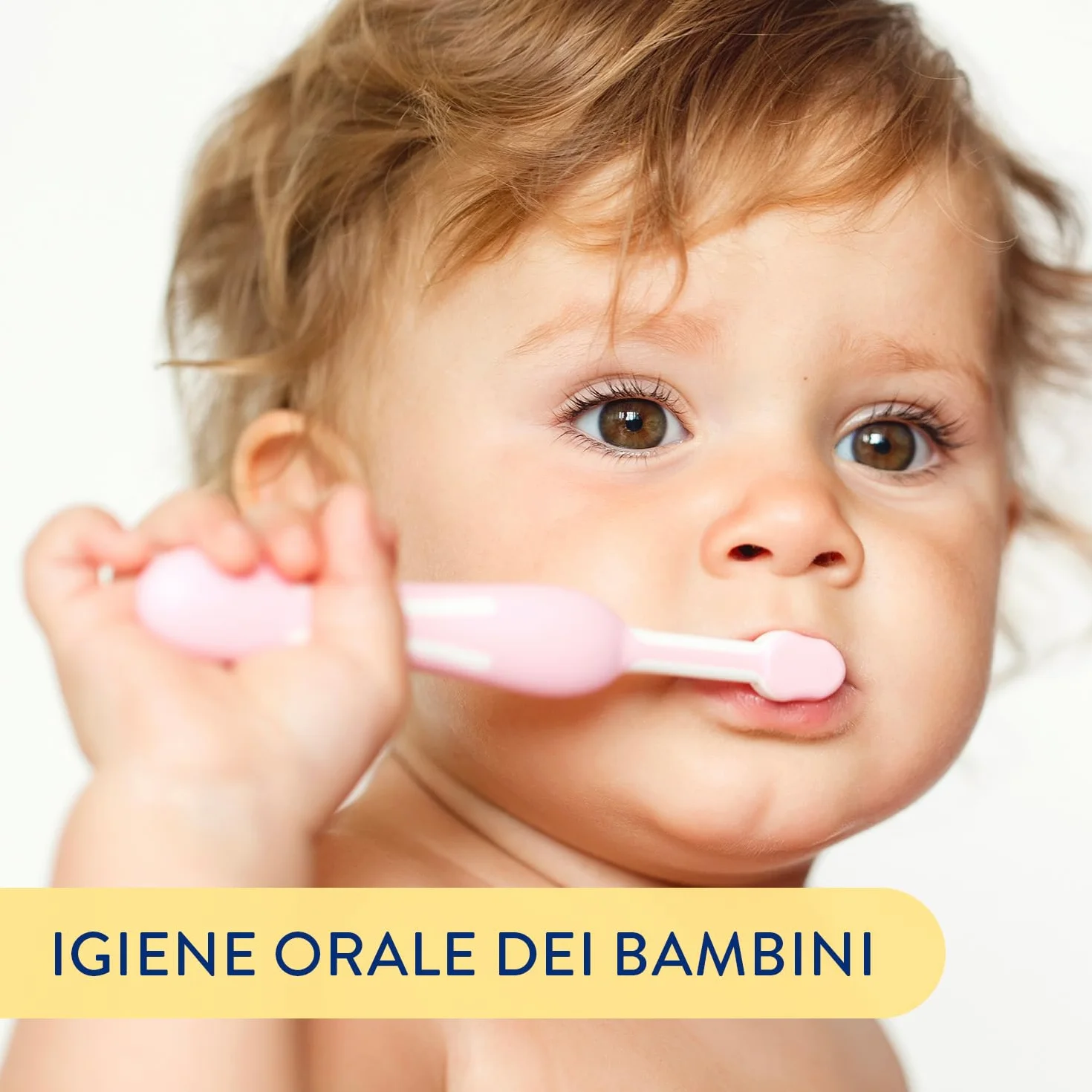 Babycoccole Szczotka BABY 6-36 miesięcy. Niebieski lub różowy, idealny dla zębów noworodków i dzieci do 3 lat. Super miękkie, delikatne włosie na dziąsłach i zębach. Głowica w kształcie i zaokrąglona.