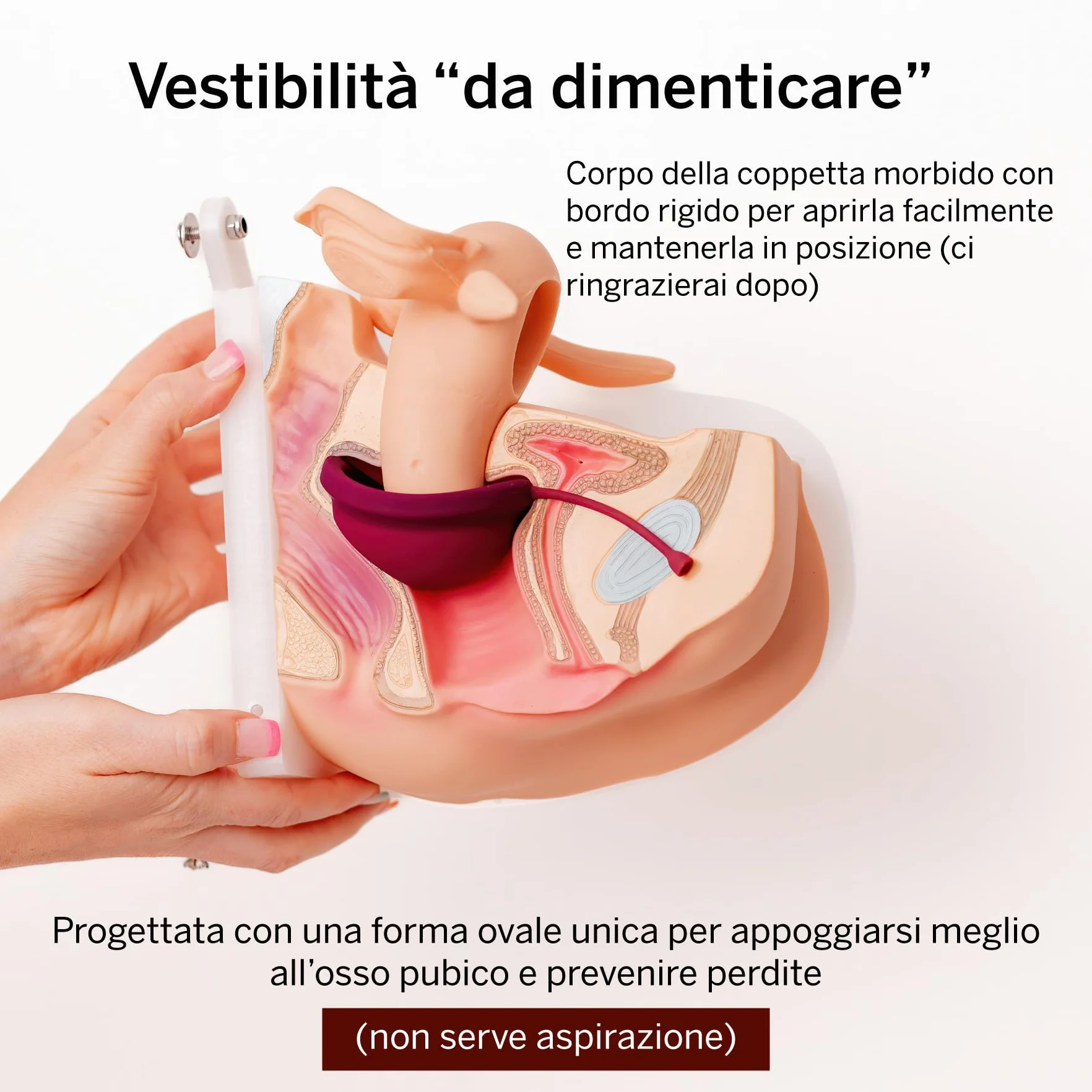 2 krążki menstruacyjne - bez metali i toksyn - 100% silikon klasy medycznej - 1 miejsce dla większości miękkich dysków wielokrotnego użytku - usuwa się jak tampon - zużycie 12 godzin - pojemność 3 i 6