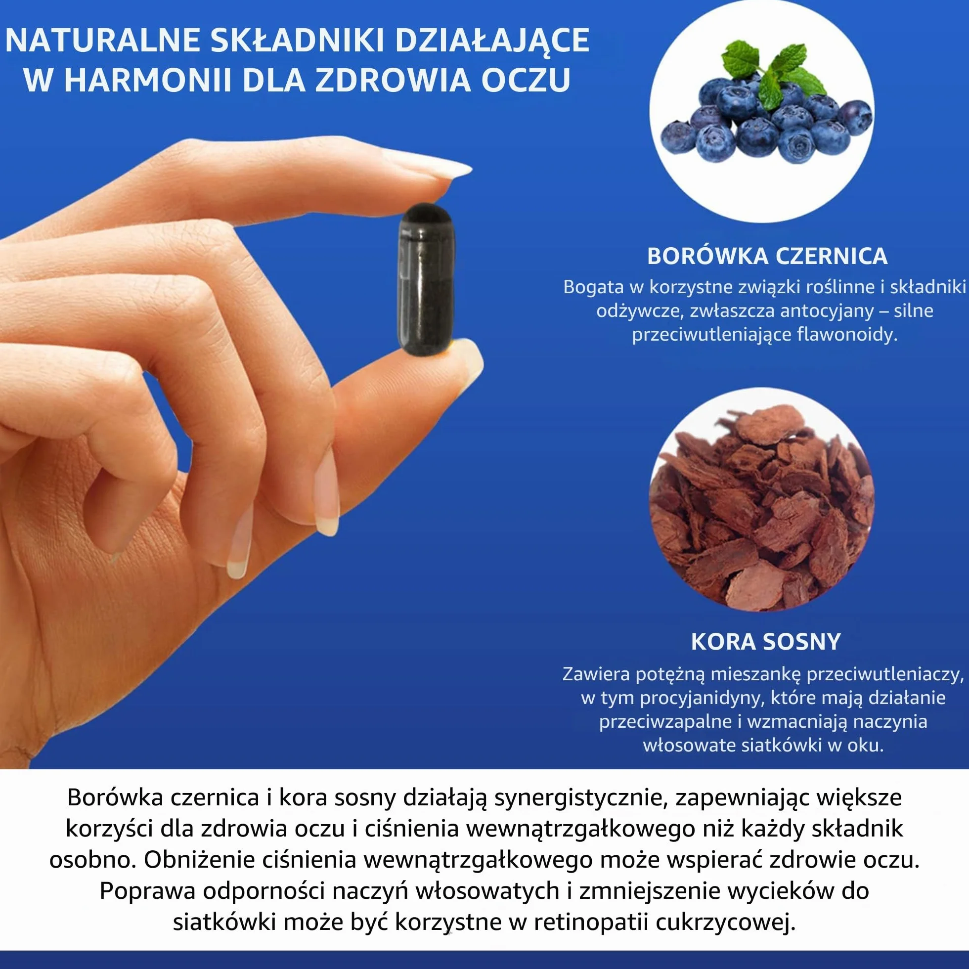 Vision Defender BP suplement diety dla oczu 60 kapsułek wegańskich ekstrakt z borówki i kory sosny