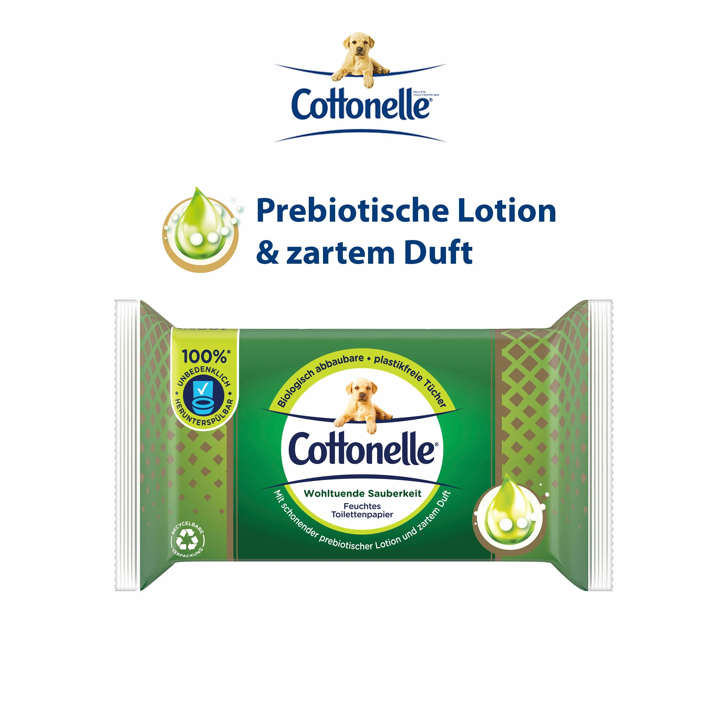 Cottonelle Wilgotny papier toaletowy, kojąca czystość, z balsamem prebiotycznym, biodegradowalny, bez plastiku, wielokrotnego zamykania, pojedyncze opakowanie, 38 chusteczek nawilżanych, 38 sztuk (1