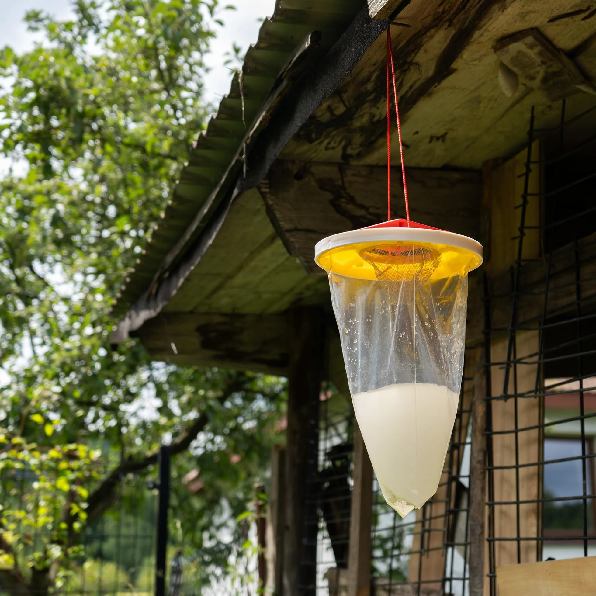 Pułapka na Muchy Końskie XXL Wisząca Wabik na Owady do Stajni Obory Garażu