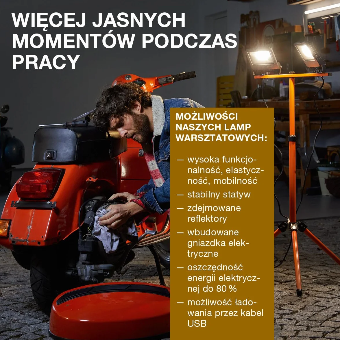Ledvance Światło Robocze Led, Pomarańczowy/Szary, 2 x 50W