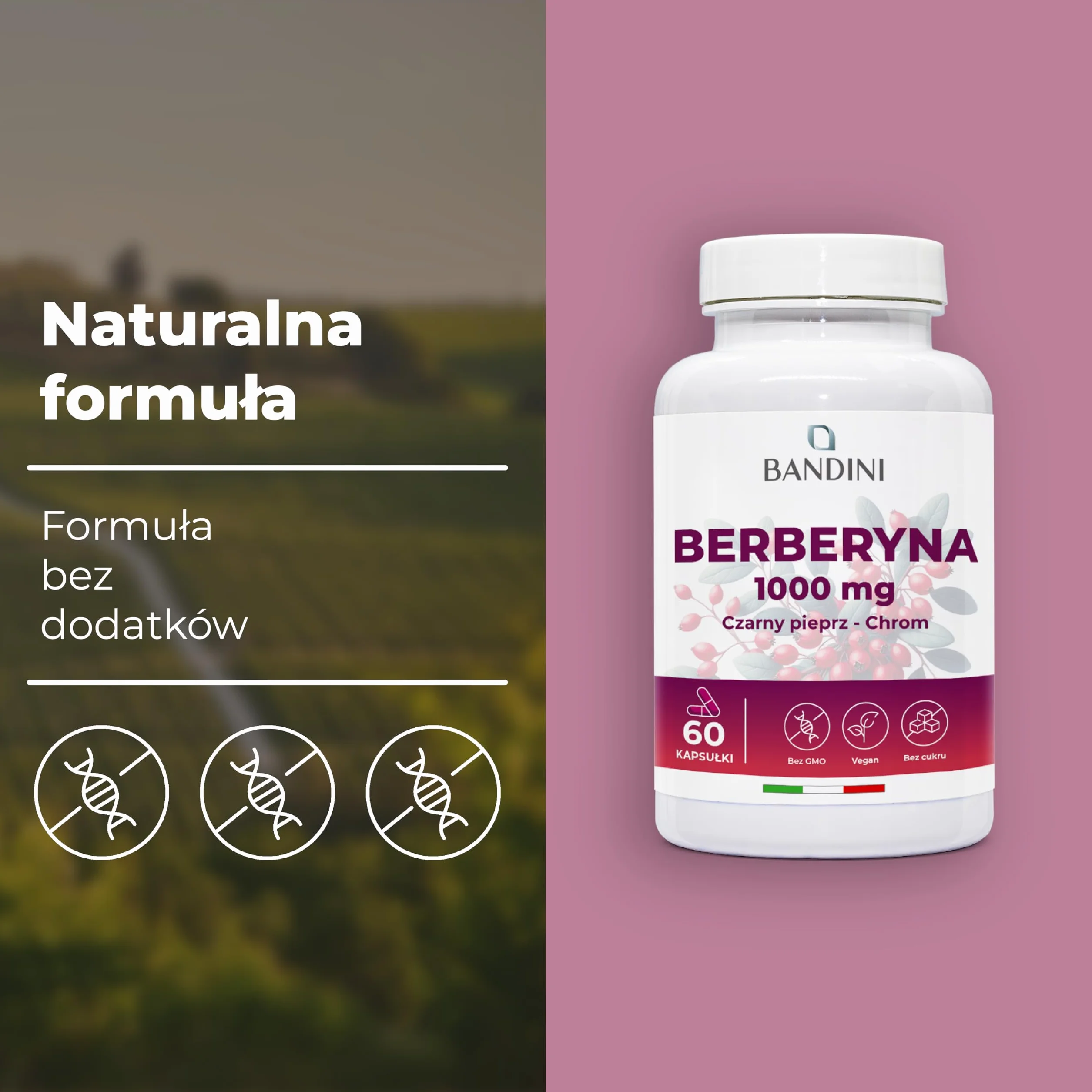 Bandini® Berberine 1000mg czysta wysoka dawka | 60 wegańskich kapsułek - Czysta Berberyna HCl z Berberis Aristata 97% + Chrom i Czarny Pieprz | Maksymalne wchłanianie - Trawienie, funkcja wątroby