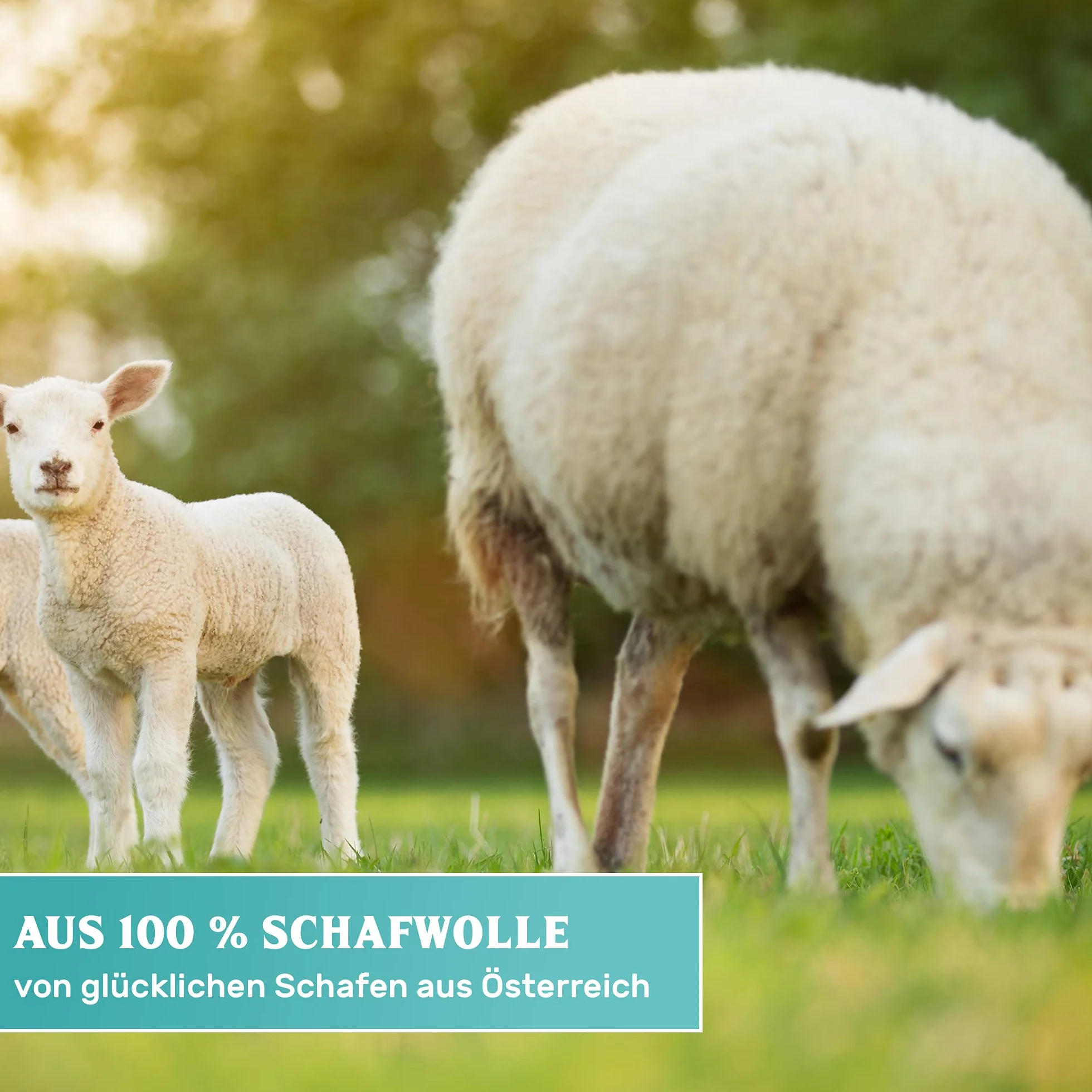 Greenwood Soft Sheep Pad Holder Pro z 10 wełnianymi podkładkami - do ponownego naoliwienia parkietu, marmuru, granitu - podkładki polerskie GlamUp Oil - bez rękawów