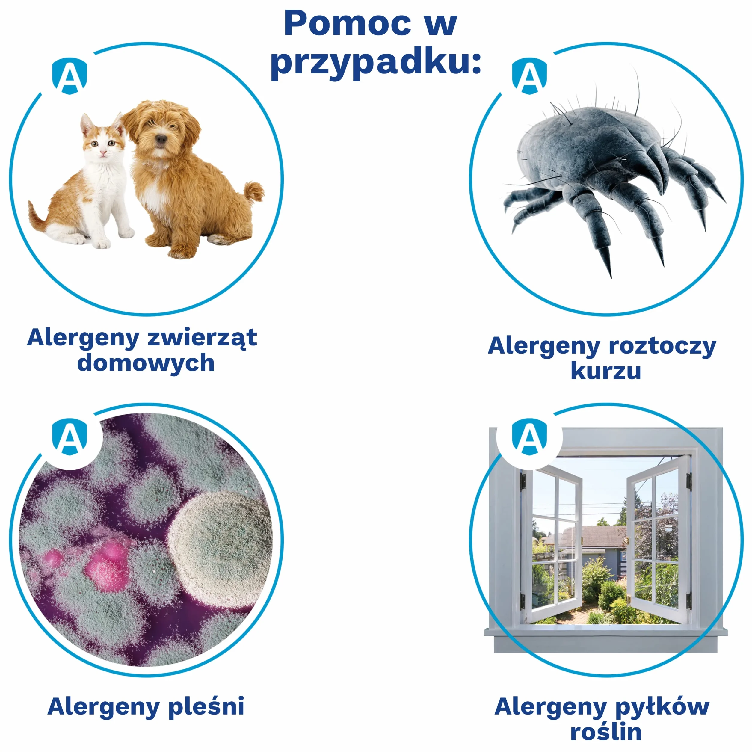Allergoff spray na roztocza - spray na roztocza do materacy, łóżek, sof i tekstyliów - skuteczna kontrola roztoczy i alergenów - przeciw pyłkom, grzybom pleśniowym i alergenom zwierząt