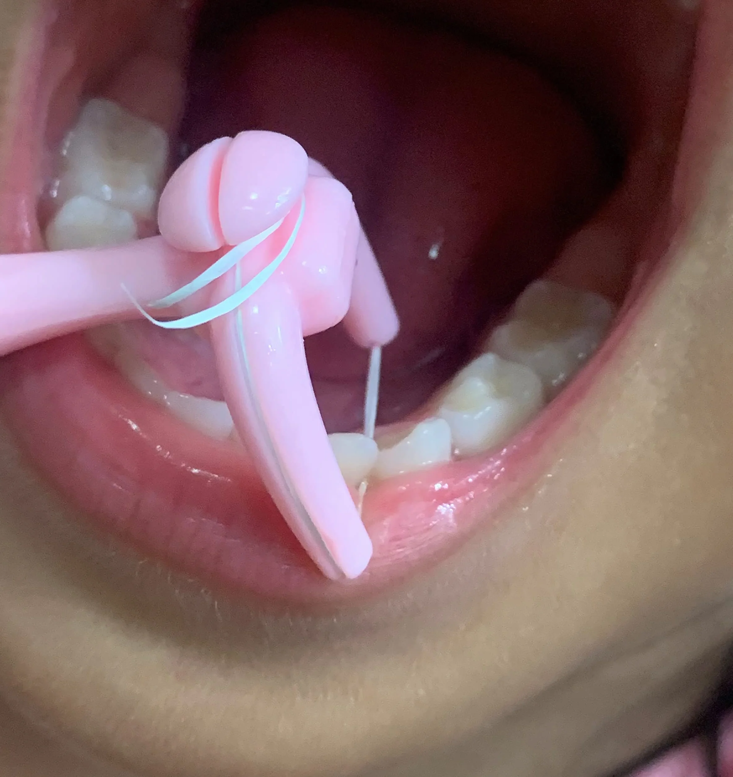 NO-Waste uchwyt do nici dentystycznej dla dorosłych i dzieci czyszczenie zębów wielokrotnego użytku kostki dentystyczne 1 liczba prezent dla córki od matki