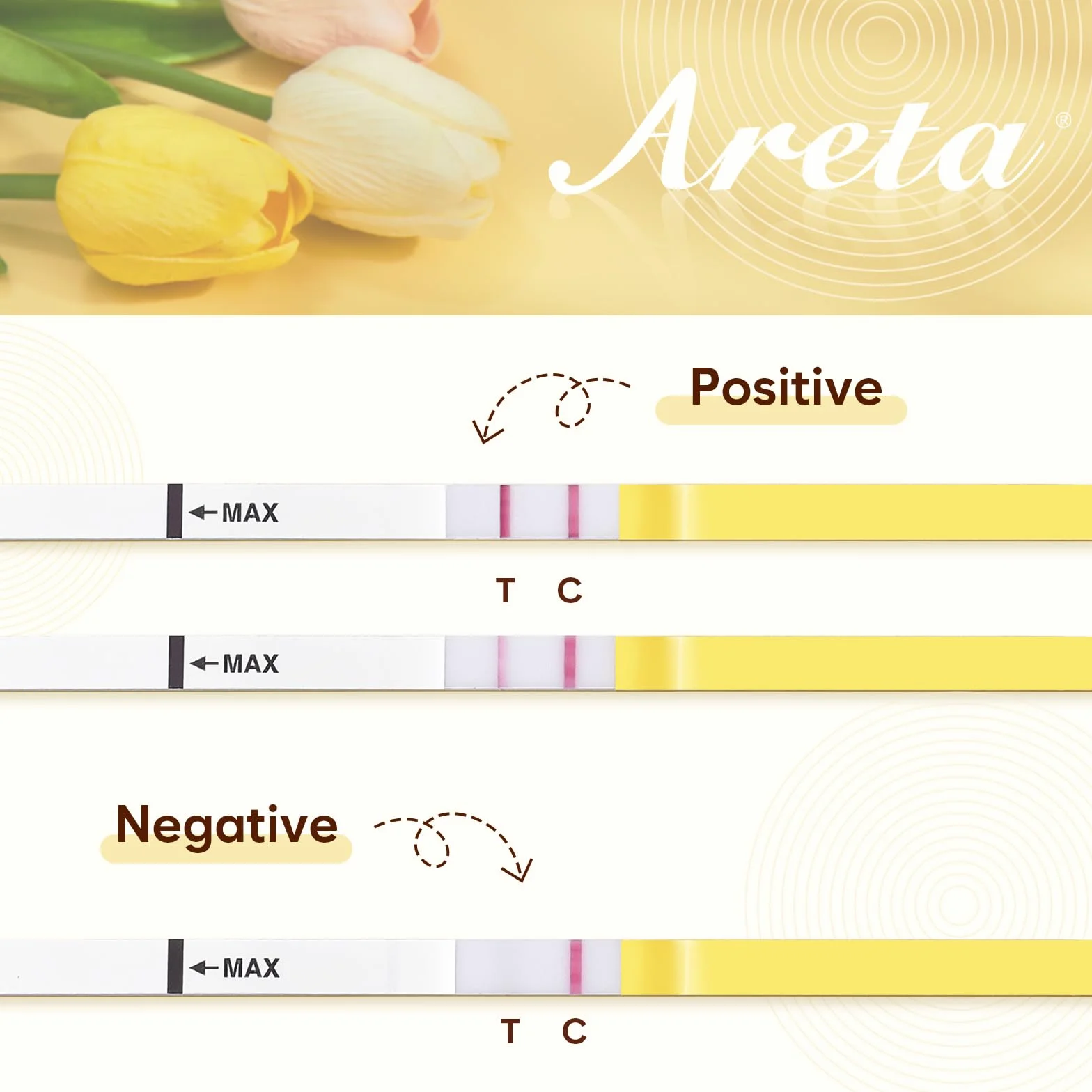 Areta 50 x test na wczesną ciążę: bardzo czuły test ciążowy 10 mIU/ml - Bardzo dokładny test ciążowy do wykrywania wczesnej ciąży, test 50 HCG