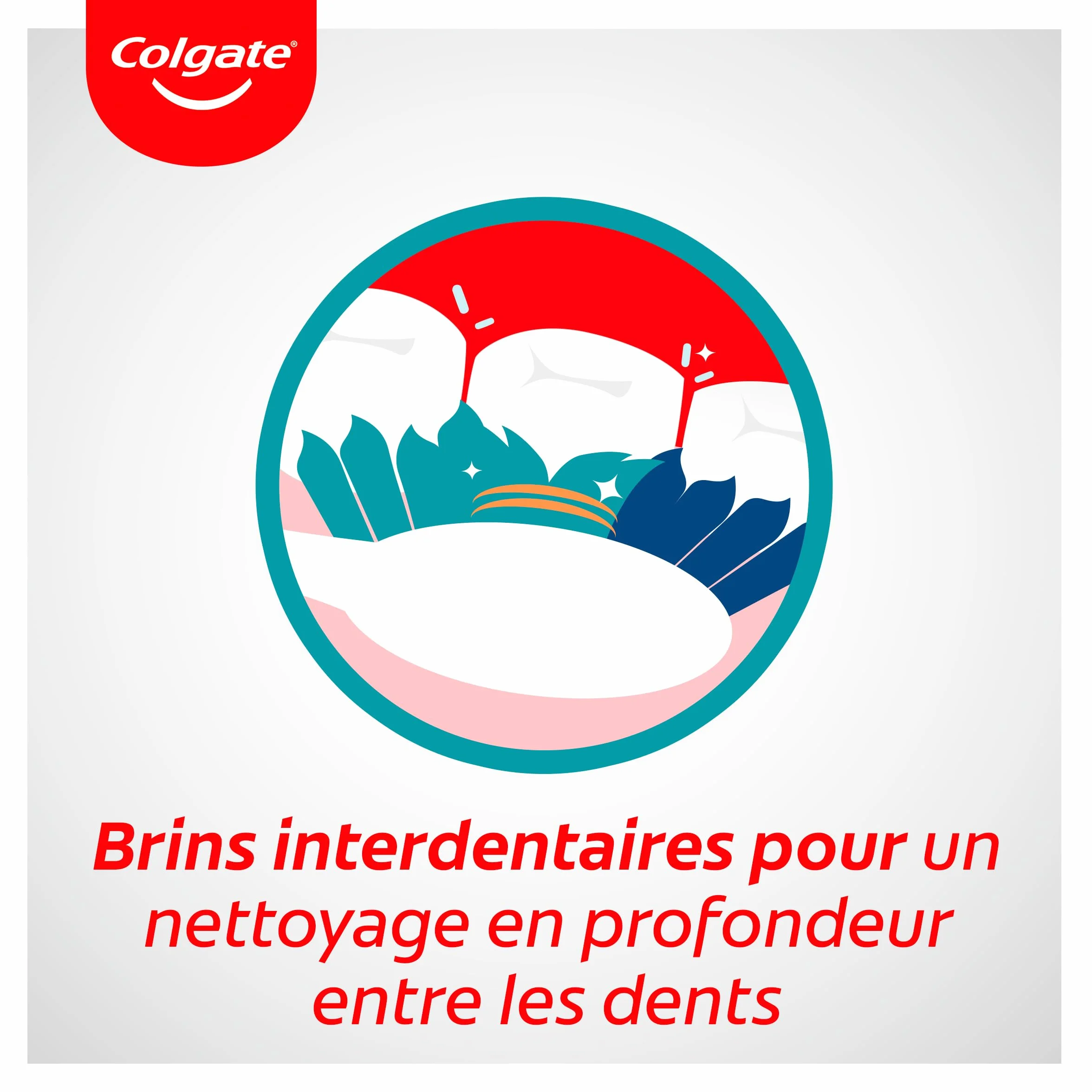 Colgate Colgate multi action medium x4 - opakowanie 4 sztuki
