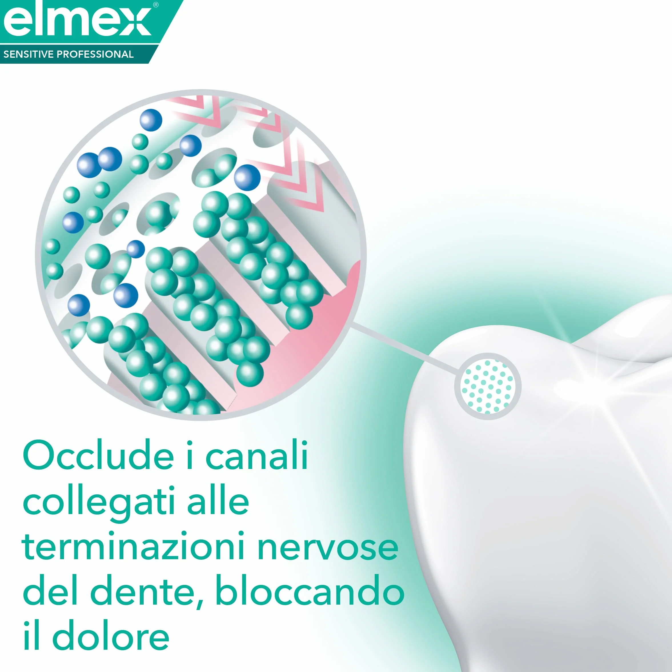 elmex Sensitive Professional 400 ml płyn do płukania jamy ustnej | blokuje ból od wrażliwości | tworzy długotrwałą barierę ochronną | z fluorem do zapobiegania próchnicy zębów i 0% alkoholem