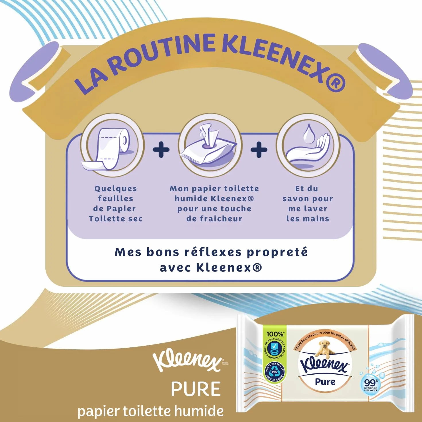 KLEENEX Czysty - Mokry papier toaletowy (12 opakowań po 38 arkuszy), podwójna grubość, jednorazowy w toalecie, bez plastiku, bez zapachu, bez alkoholu, opakowanie nadające się do recyklingu