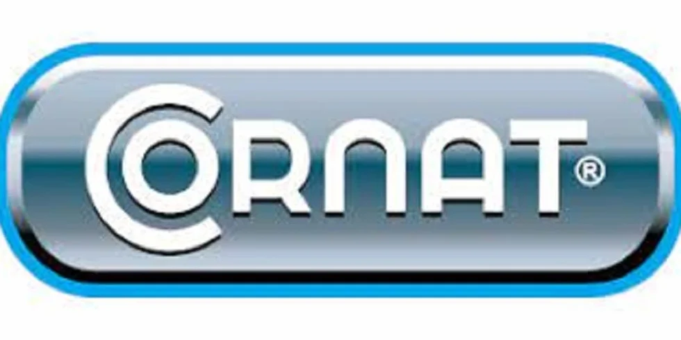 Cornat Aqua-Fermit T381296 Uszczelniacz, 500 g