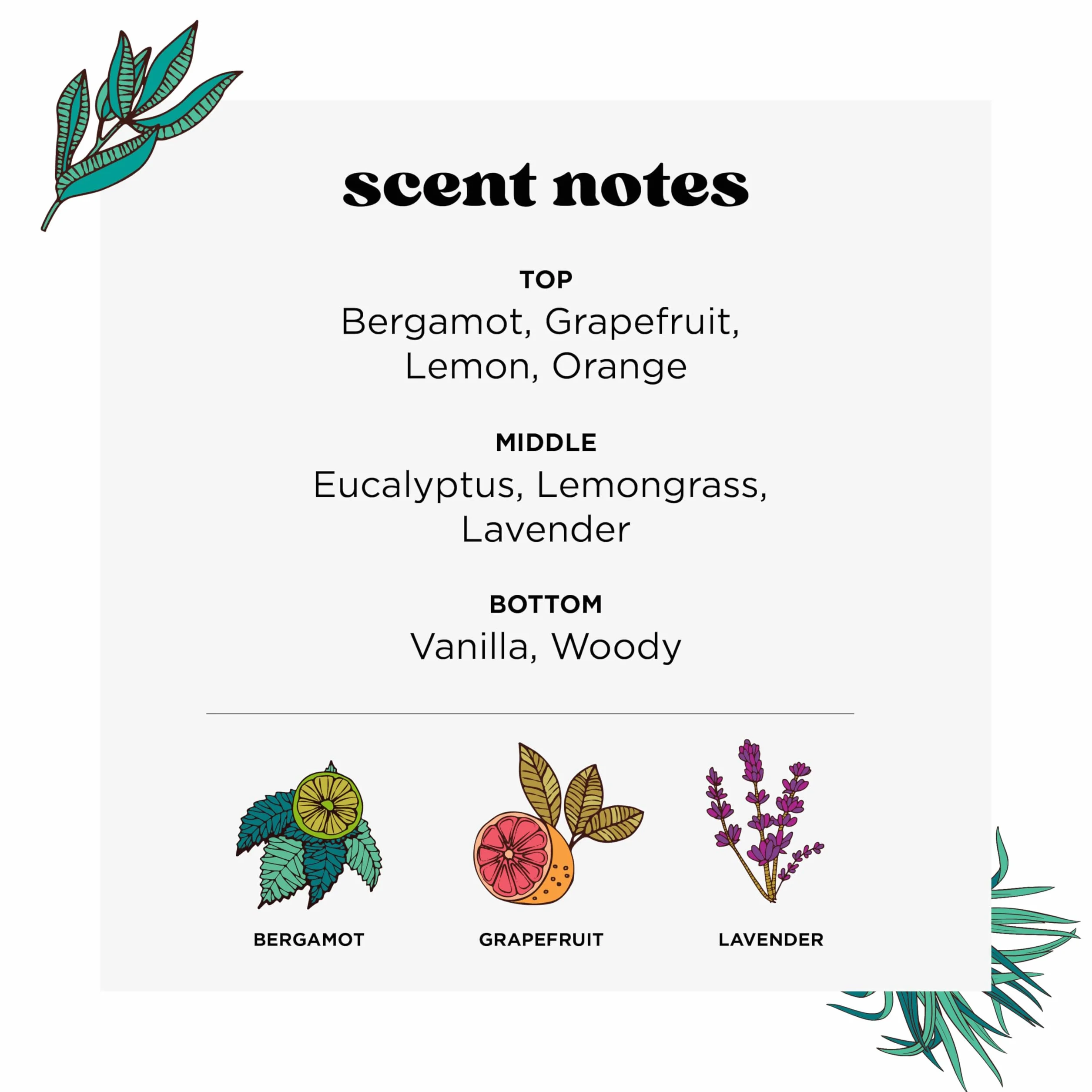 Poo-Pourri Lavender Vanilla Toilet Spray Eliminates Bathroom Odors, 59 ml