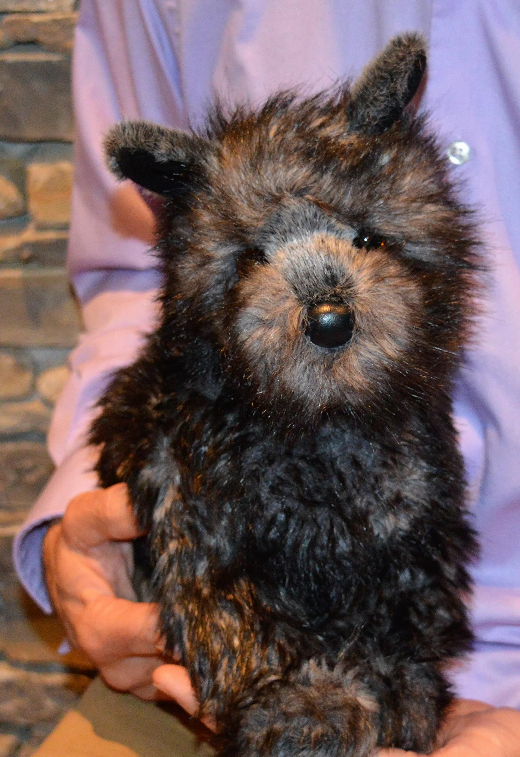 Cairn Terrier - terapia wypchanych zwierząt dla osób z utratą pamięci spowodowaną starzeniem się i opiekunami przez niezapomniane zwierzęta