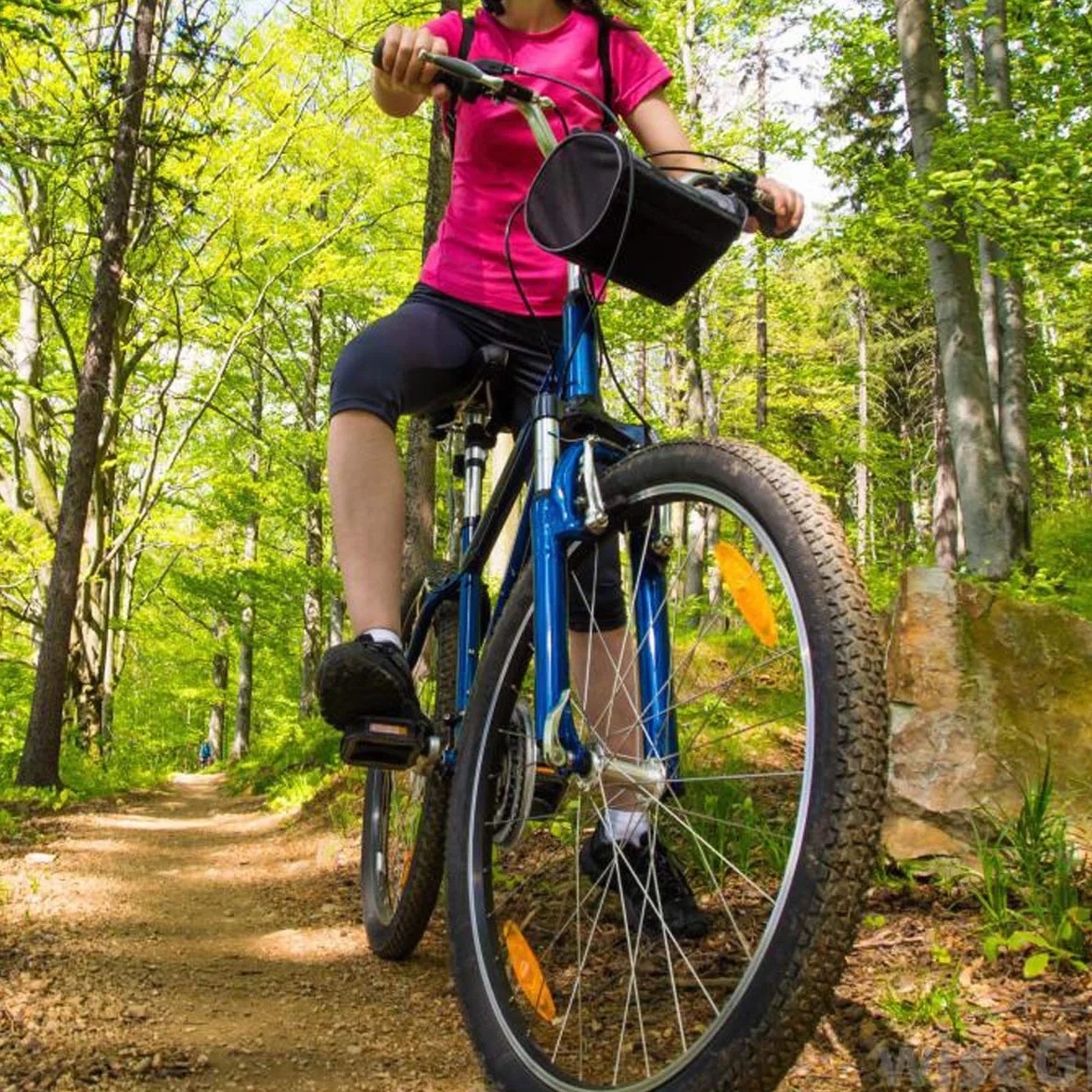 PLATT Szaszłyki rowerowe z szybkozłączką, szaszłyki do piasty koła MTB, przednia i tylna oś, pasują do roweru szosowego, roweru górskiego, BMX (1 para)