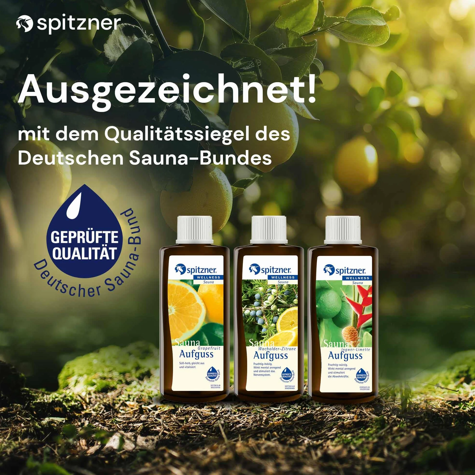 Spitzner Zestaw do zaparzania sauny Vital & Mocny (3 x 190 ml) – sauna, naturalny olejek do sauny o aromatycznym zapachu sauny grejpfruta, jałowca, limonka imbirowa