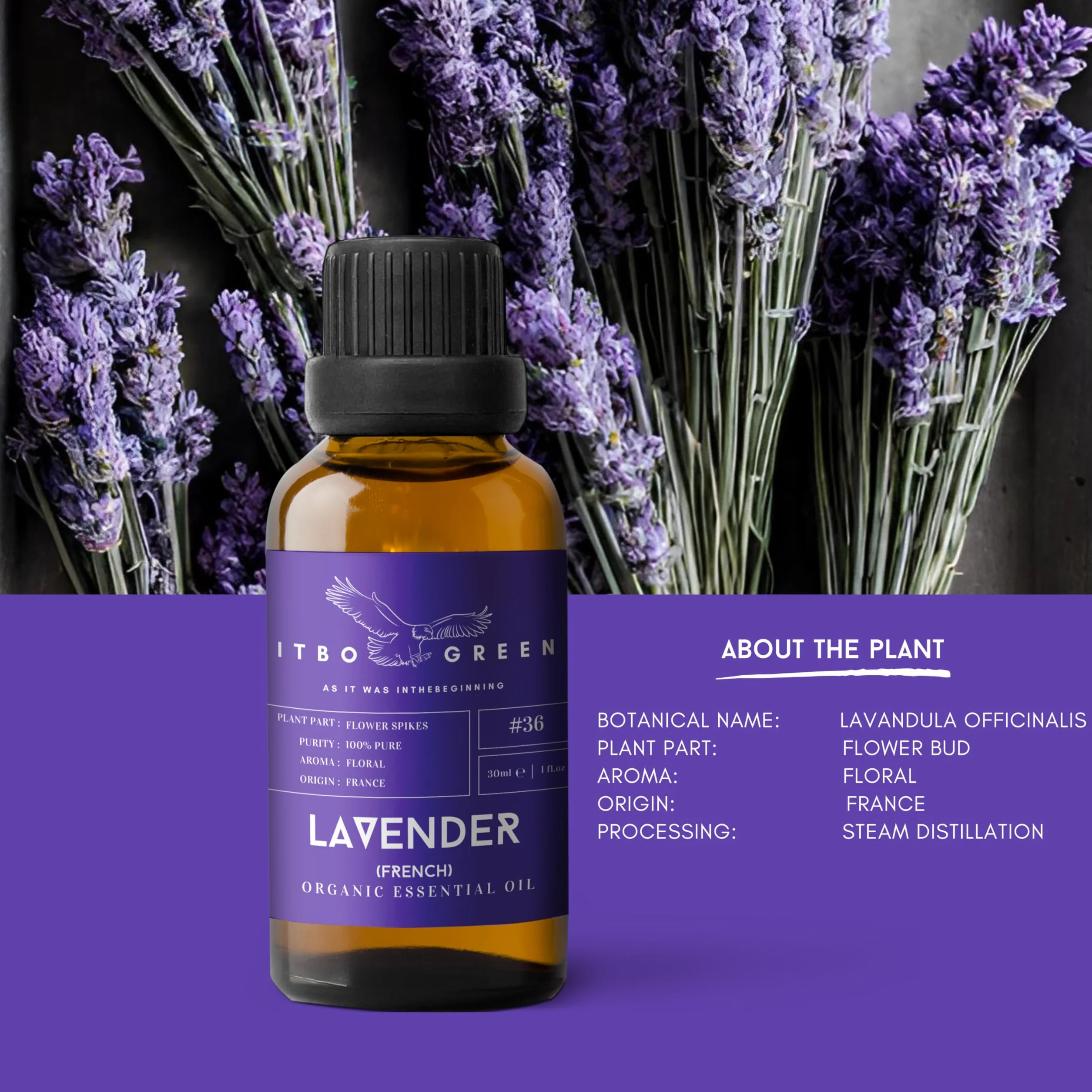 Organic French Lavender Essential Oil 30ml 1oz Aromatherapy