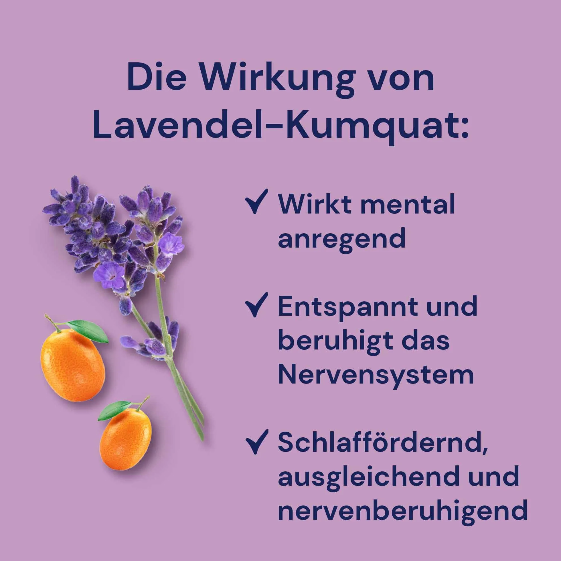 Spinnera Lavendel-Kumquat 1000 ml