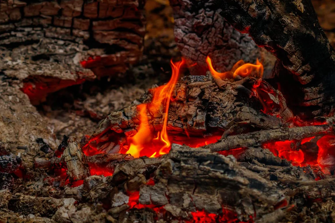 Ekologiczna rozpałka bez oleju palmowego, z naturalnych trocin sosnowych i oleju roślinnego, bezzapachowa, do rozpalania ognia, grilla, kominków i pieców na drewno
