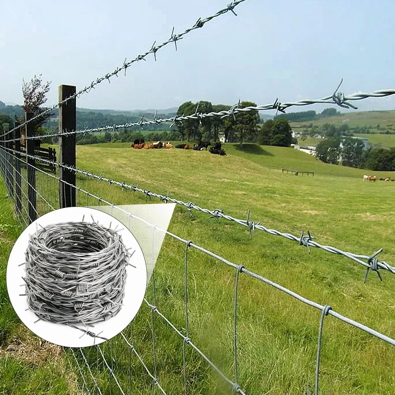 Mbsomnus Drut kolczasty 1,8 mm x 9 m, rolka z drutu kolczastego, ocynkowana ogniowo, z rękawiczkami, kolce, na pastwisko, ogrodzenie, ogrody, balkon, podwórko, ściany, DIY, rękodzieło, kij baseballowy