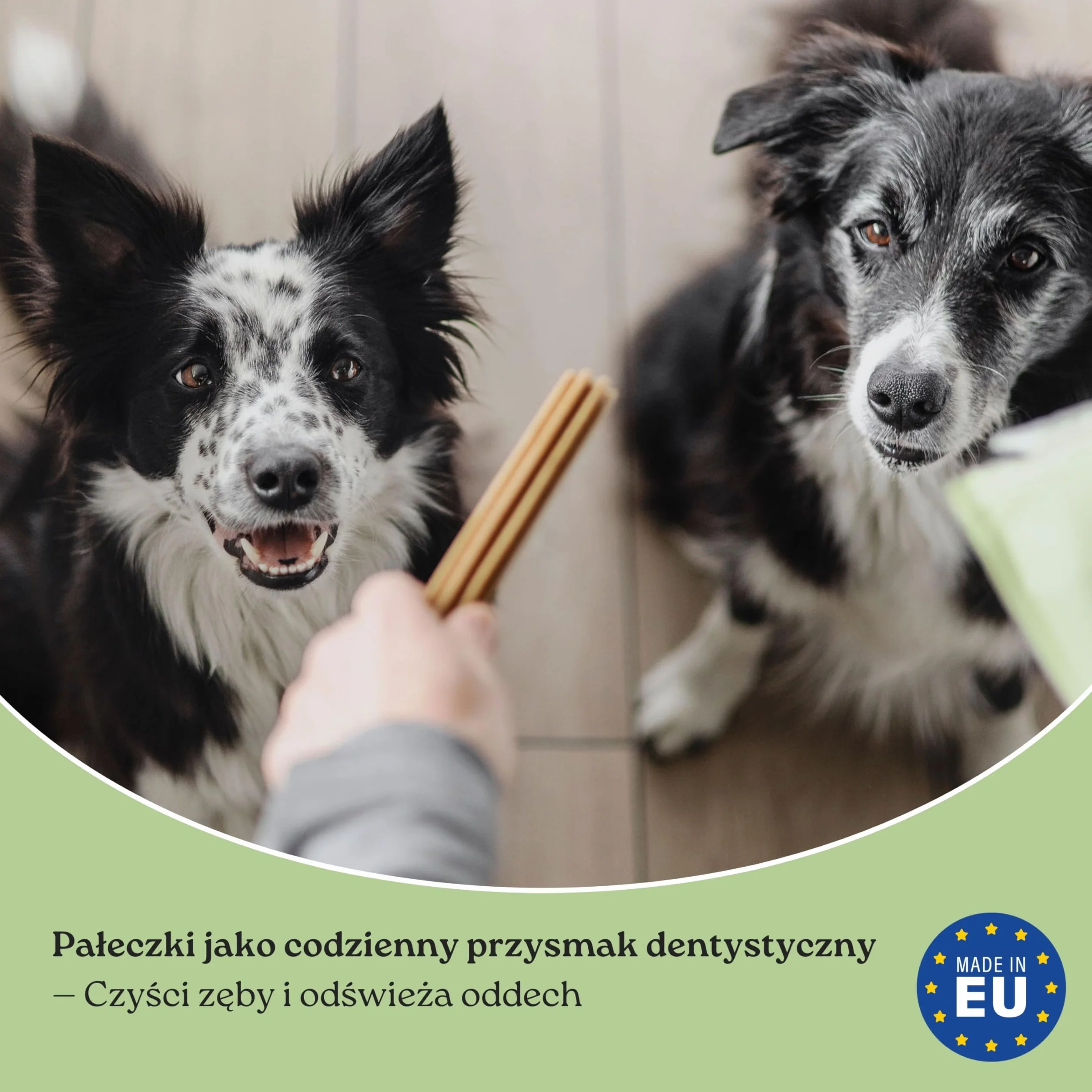 Luxx Dentystyczne Przysmaki dla Psów – Bezzbożowe Gryzaki z Białkiem z Owadów, Miętą & SHMP – Ogranicza Płytkę i Kamień – 7 Super Premium Smakołyków (250g)