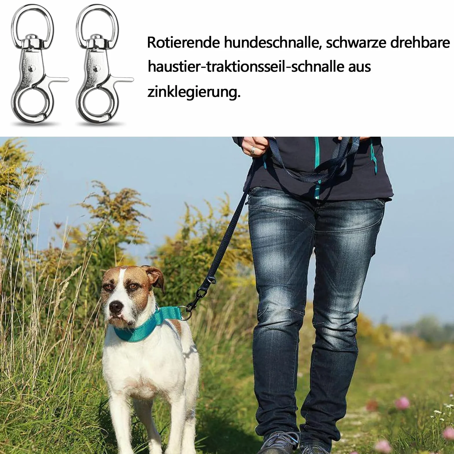 5 sztuk karabińczyków nożycowych, karabińczyków kręgowych, ze stopu cynku, do łańcuszka dla psa, paska dla kotów, breloczków, pasków do aparatu