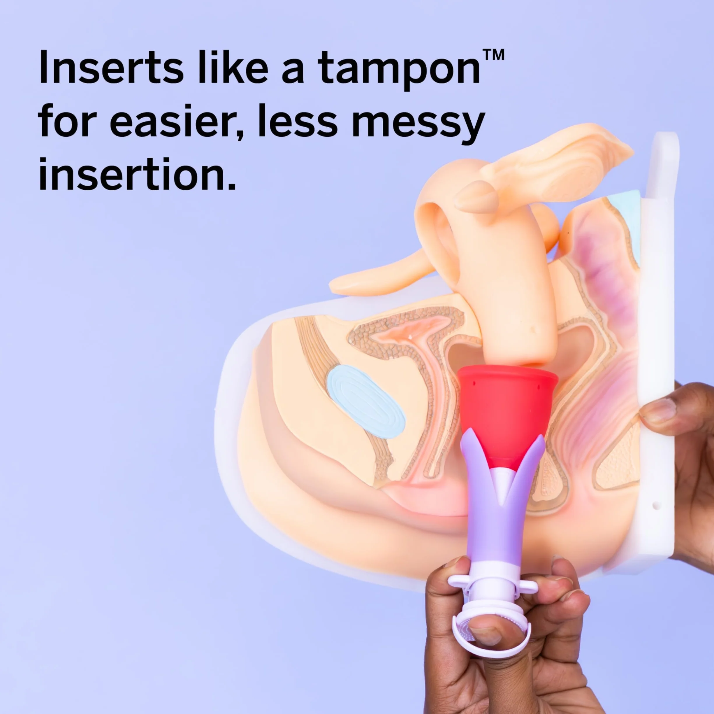 Menstrual Cup Bundle with Applicator - 100% Medical-Grade Silicone - Reusable Period Cup, 4 & 6 Tampon Capacity