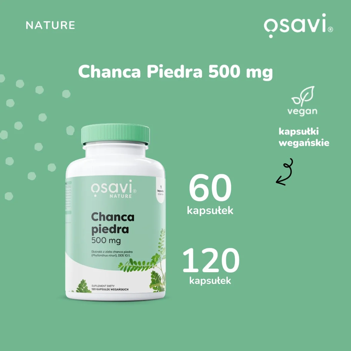 Osavi Chanca Piedra – 120 wegańskich kapsułek | Tradycyjna roślina | Ekstrakt z ziela chanca piedra | 500 mg ekstraktu w jednej kapsułce z 5000 mg Phyllanthus niruri | Clean Label | Dla Wegan