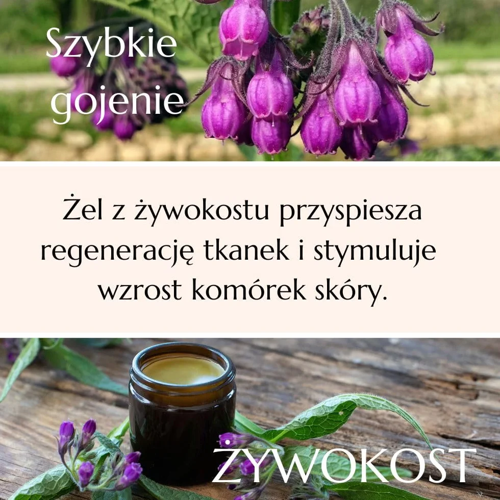 Green idea - Żywokost lekarski żel do masażu - bóle stawów, ścięgien i mięśni - na artretyzm, bóle pleców, kolan i karku - działanie lecznicze - 500 ml