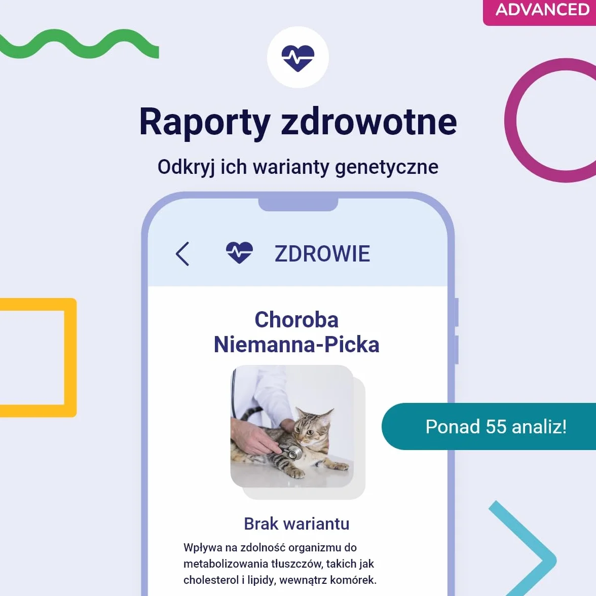 Koko Genetics Test DNA dla Kotów Advanced - (+150 Raporty Ras, Zdrowotne i Cech) - Aktualizacje bez dodatkowych kosztów