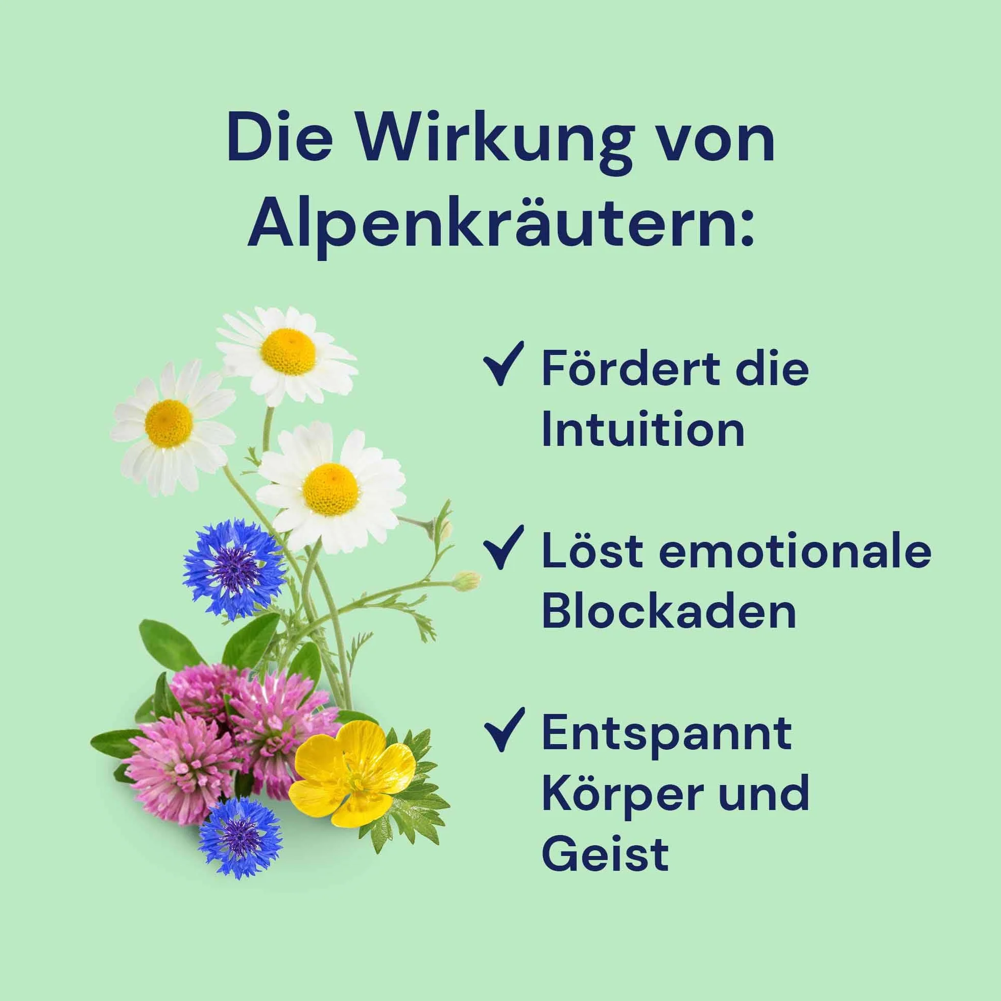 Spinnera zioła alpejskie 190 ml