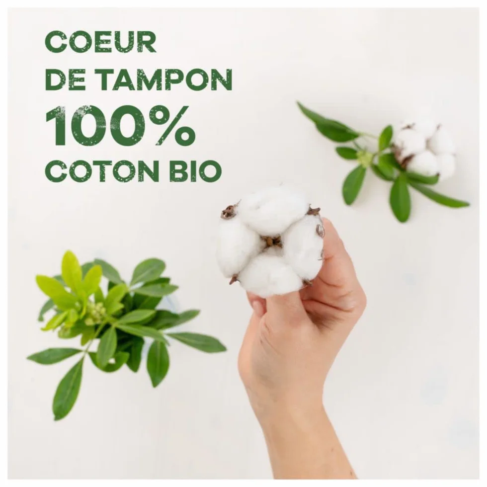 Tampax Komfort Bawełny - 100% Organiczny Zwykły Tampon - 16 Sztuk
