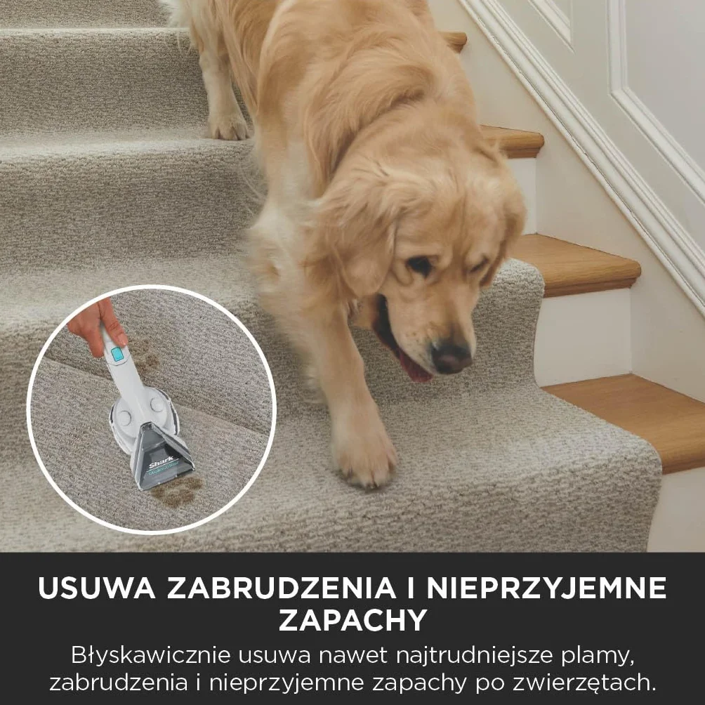 Shark StainStriker odkurzacz do usuwania plam z 5 końcówkami, w tym do sierści, fug i węży, 2 specjalne formuły do plam, zapachów i zabrudzeń, lekki i przenośny, 450W PX200EUT