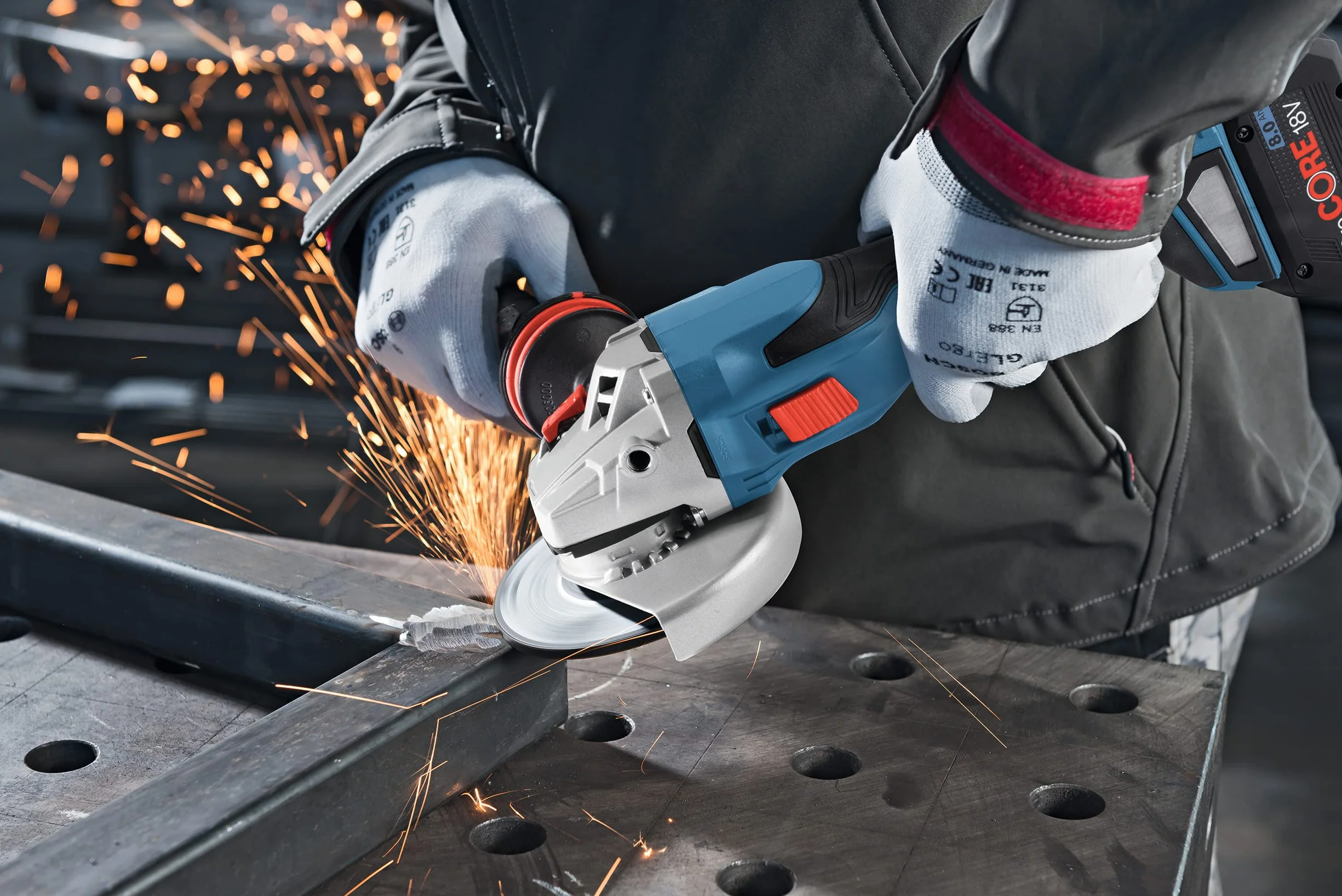 Bosch Professional Pokrywa ochronna bez blaszanego przykrycia 125 mm