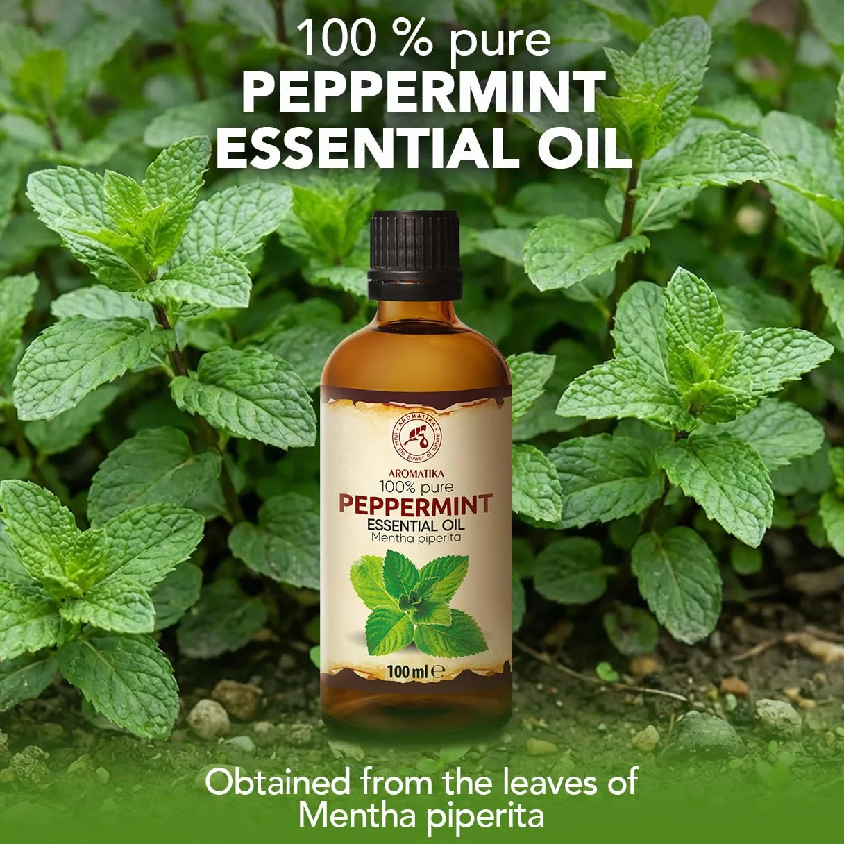 Olejek Eteryczny Z Mięty Pieprzowej 100 ml - Mentha Piperita - Olejek Aromatyczny do Dyfuzora - Aromaterapia - Świece Zapachowe - Mydła - Odświeżanie Powietrza