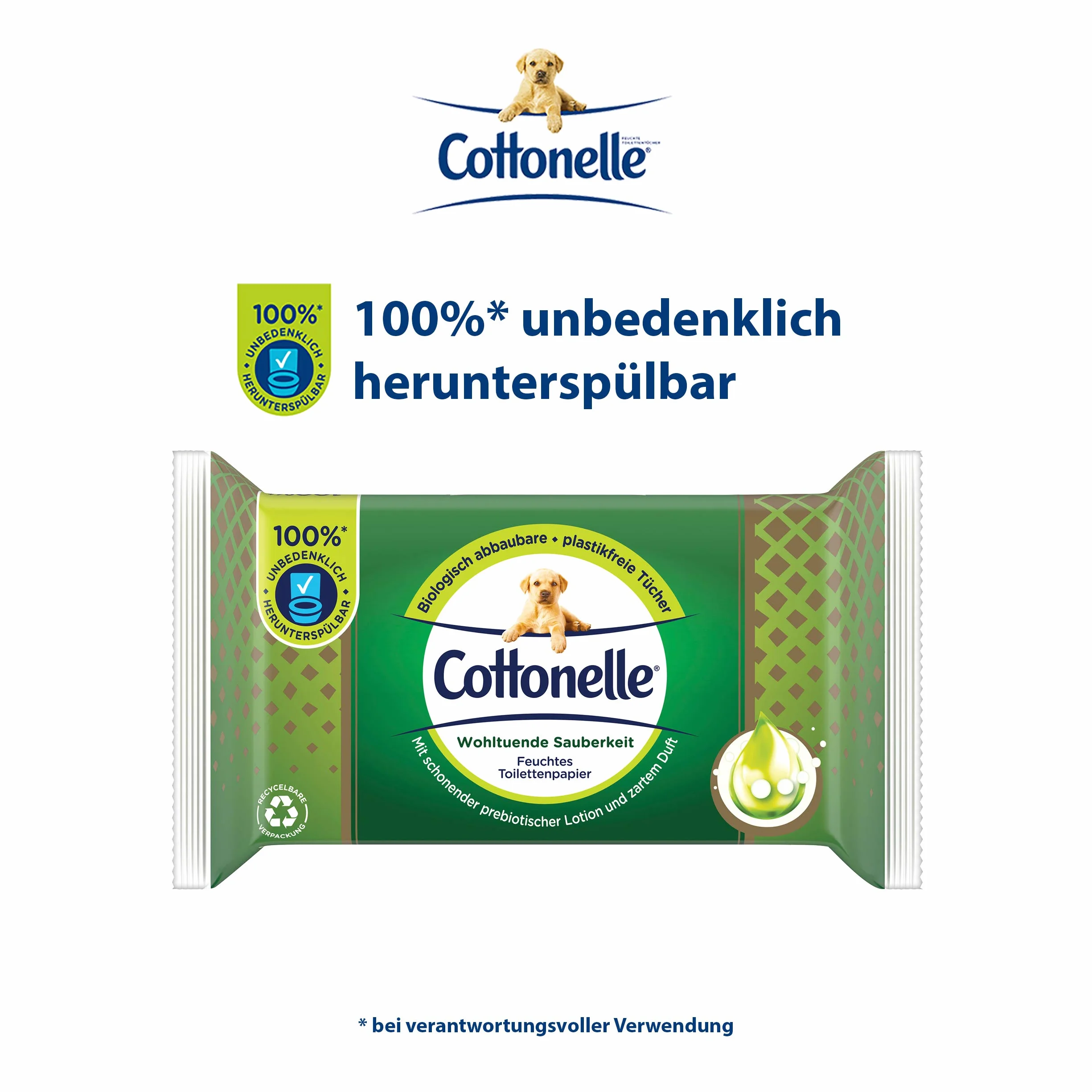 Cottonelle Wilgotny papier toaletowy, kojąca czystość, z balsamem prebiotycznym, biodegradowalny, bez plastiku, wielokrotnego zamykania, pojedyncze opakowanie, 38 chusteczek nawilżanych, 38 sztuk (1