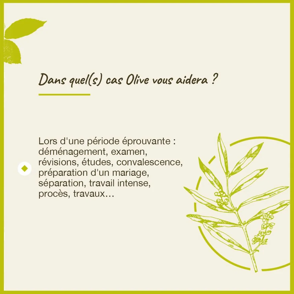 Fleurs de Bach Original N°23 Olive 20 ml