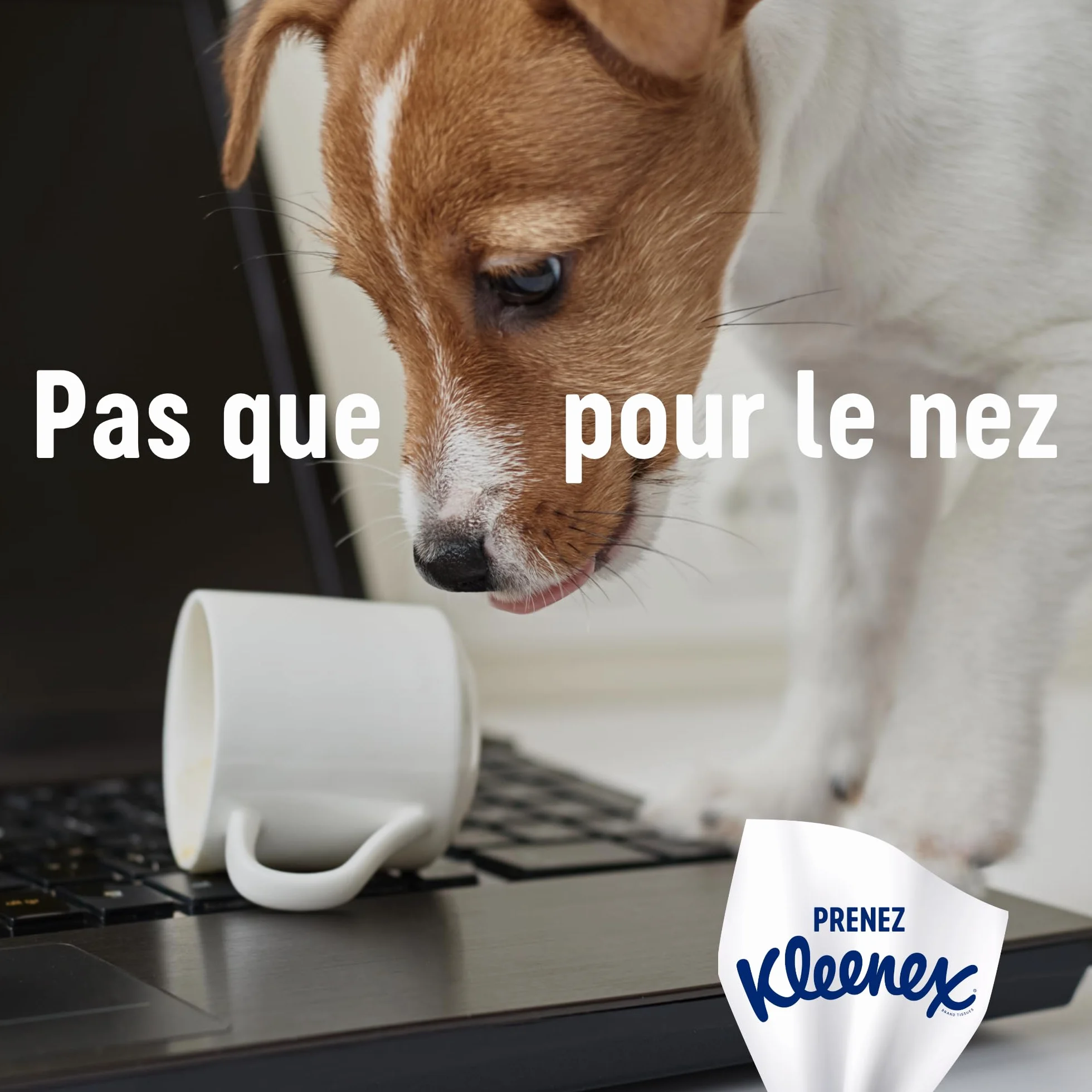 KLEENEX - Rodzinne chusteczki maxi-pack (15 pudełek po 128 chusteczek) - idealny rozmiar dla całej rodziny - Wyprodukowano we Francji