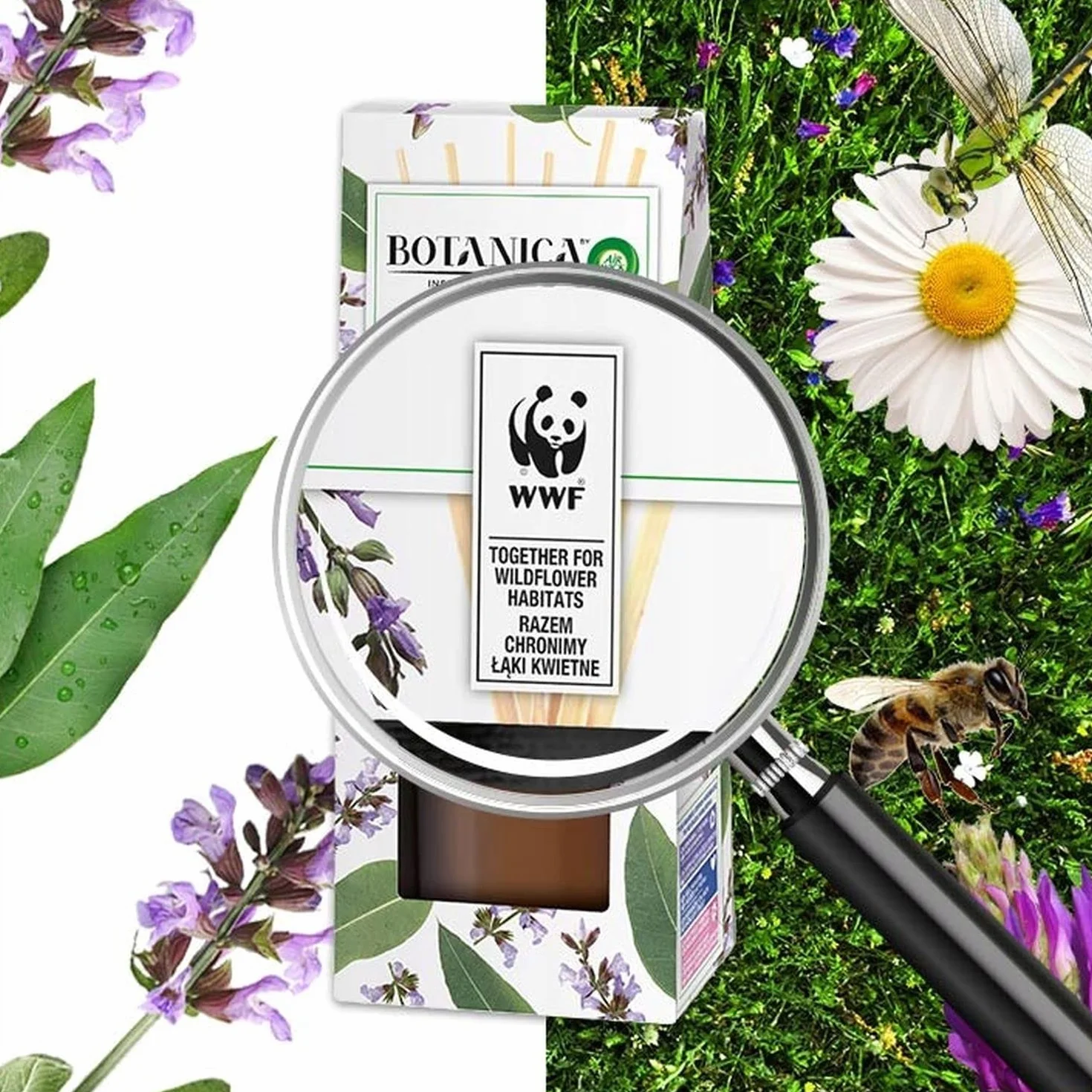 Botanica by Air Wick Eukaliptus & Szałwia Afrykańska/Eucalyptus & Mediterranean Sage 80ml Patyczki Zapachowe