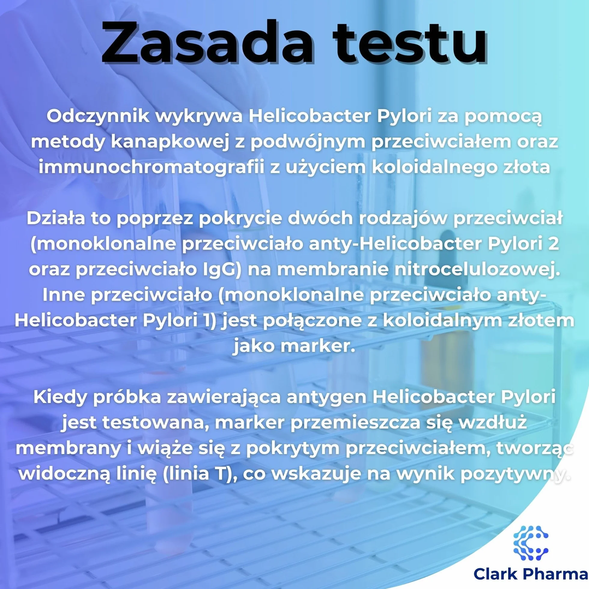 3 x Testy na Wrzody Żołądka H. Pylori | Test Stolca na Zakażenie Helicobacter Pylori | Badanie Przesiewowe na Zgagę i Niestrawność