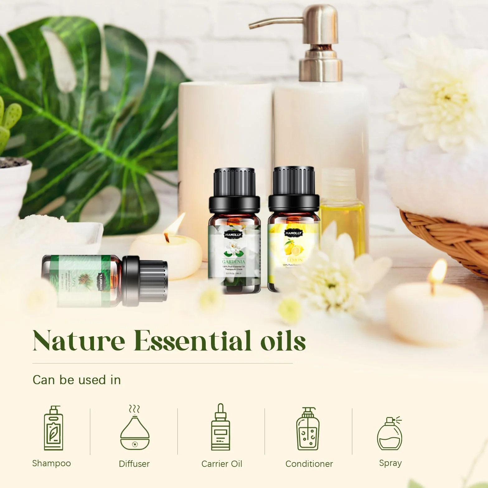 Hanolly Zestaw Olejków Eterycznych 12 x 5 ml Naturalne Olejki Zapachowe Do Aromaterapii