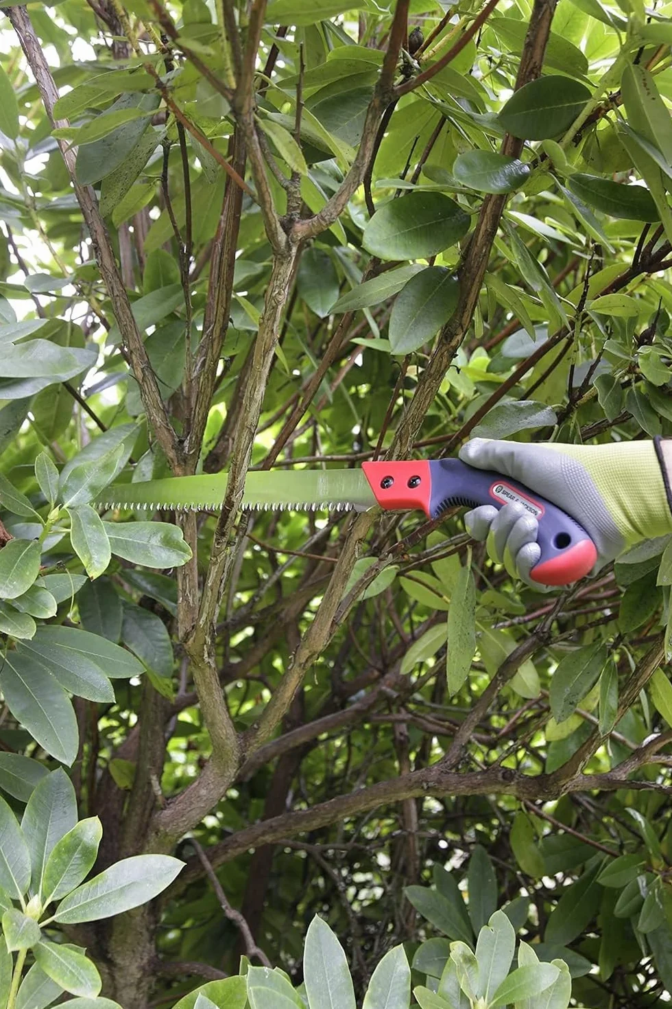 Spear & Jackson 4968PS Razorsharp Piła do przycinania gałęzi ze stałym ostrzem i pokrowcem