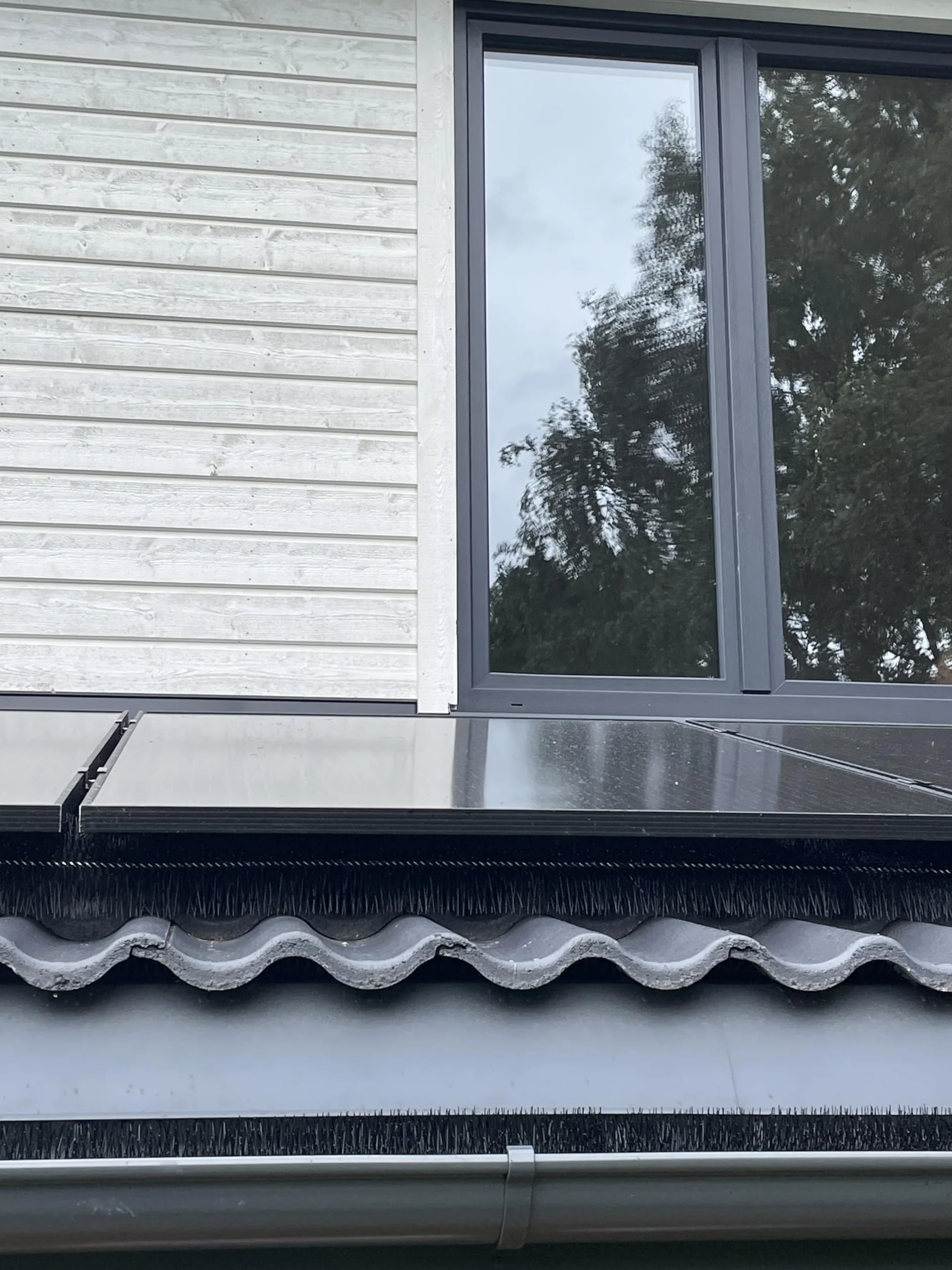 Szczotka do rynny 12 m 120 cm Ø 19 cm 10 sztuk | Odporny na promieniowanie UV | Ochrona dolistna | Łatwa instalacja | osłona panelu słonecznego (drut ocynkowany)
