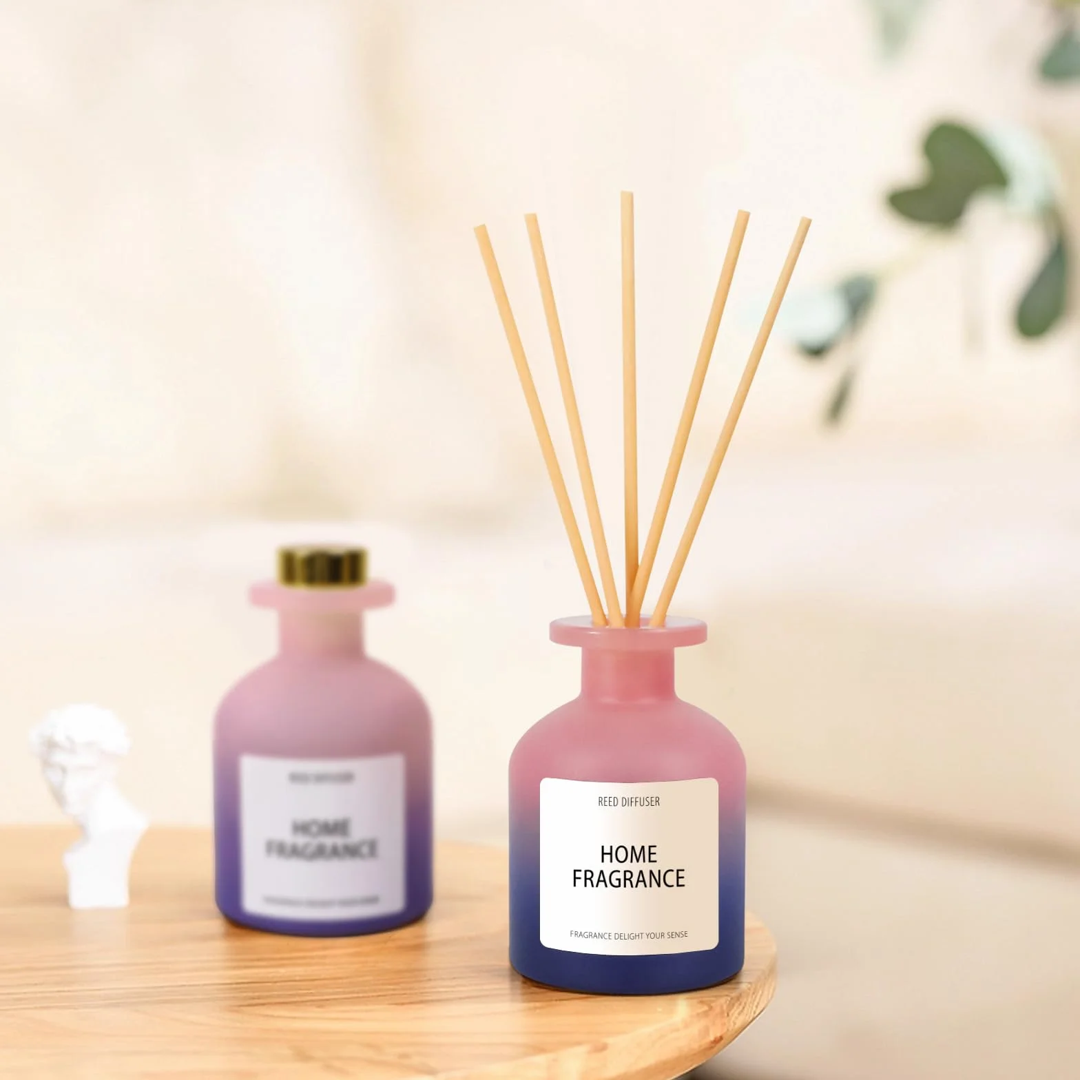 SCENTORINI Dyfuzor pokojowy 100 ml z patyczkami, odświeżacz powietrza zapachowy letniej nocy