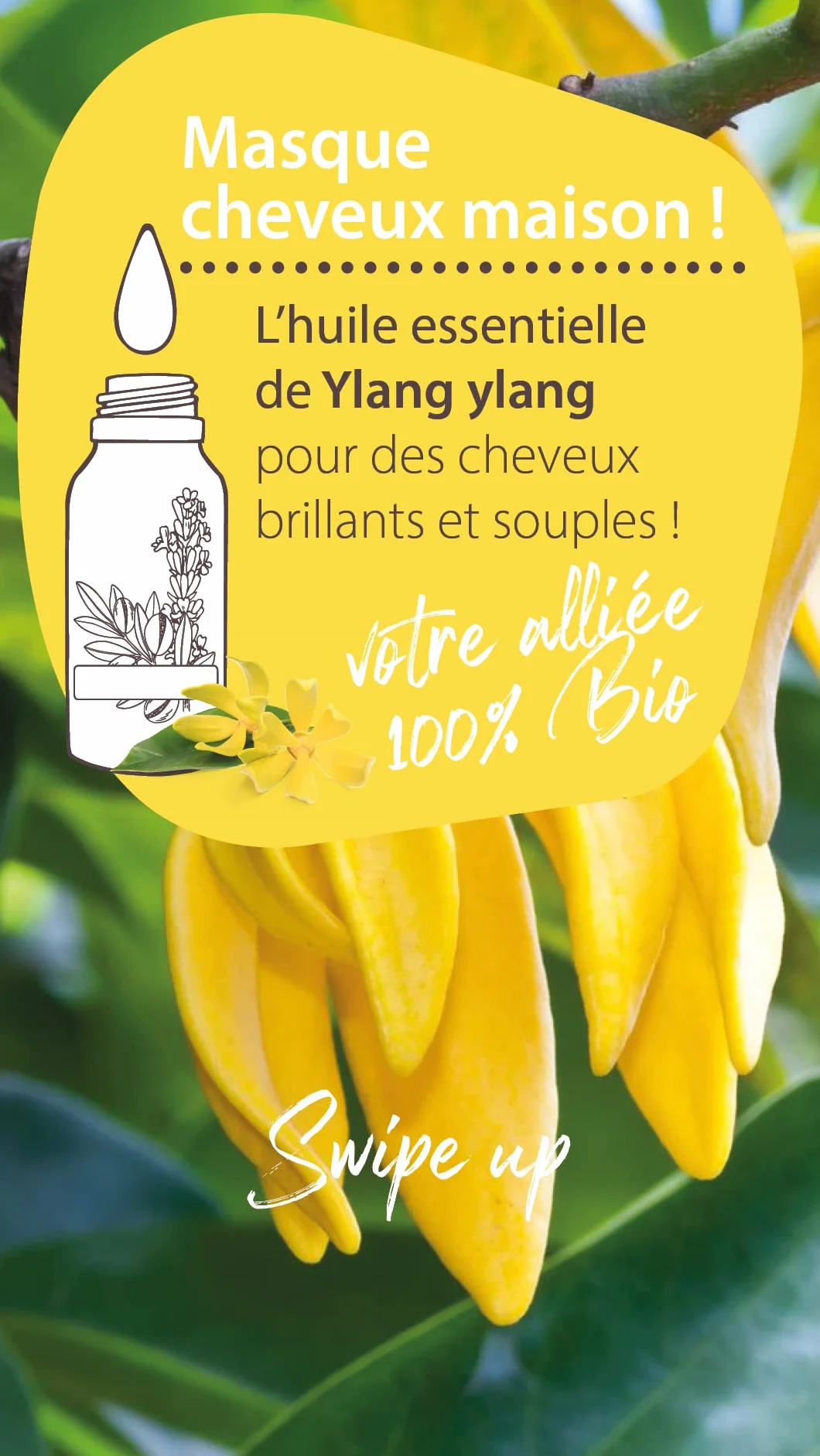 Pranarôm Les Diffusables Bien Chez Soi mieszanka olejków eterycznych do dyfuzora Cocooning Ylang-Ylang i Organiczna róża damasceńska (Eco) 30 ml