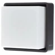 Zewnętrzna lampa ścienna LED Steinel L 845 SC z czujnikiem ruchu, inteligentna lampa ścienna, Bluetooth Mesh, sterowanie za pomocą aplikacji Connect