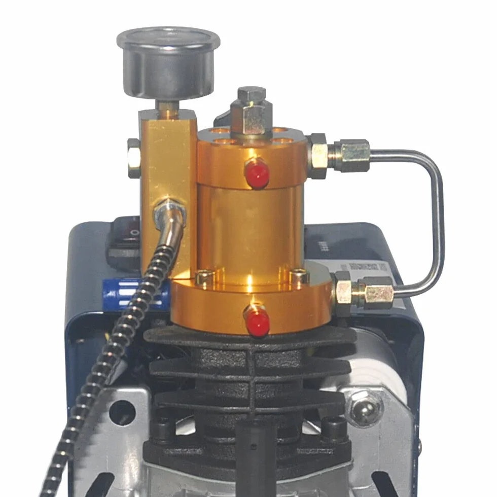 Elektryczna pompa wysokociśnieniowa 4500 PSI, wysokociśnieniowa sprężarka, pompa kompresorowa, sprężarka stopera 300 bar, wysokociśnieniowa pompa powietrza Pcp, 2800 obr./min