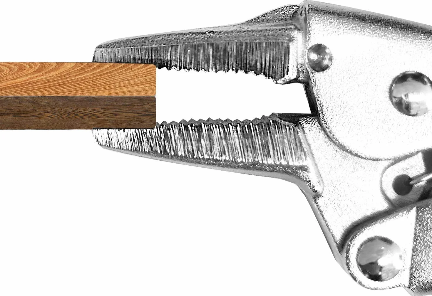 ENGINEER Szczypce blokujące do usuwania śrub PZ-66 Saurus VP-3 Vice Saurus