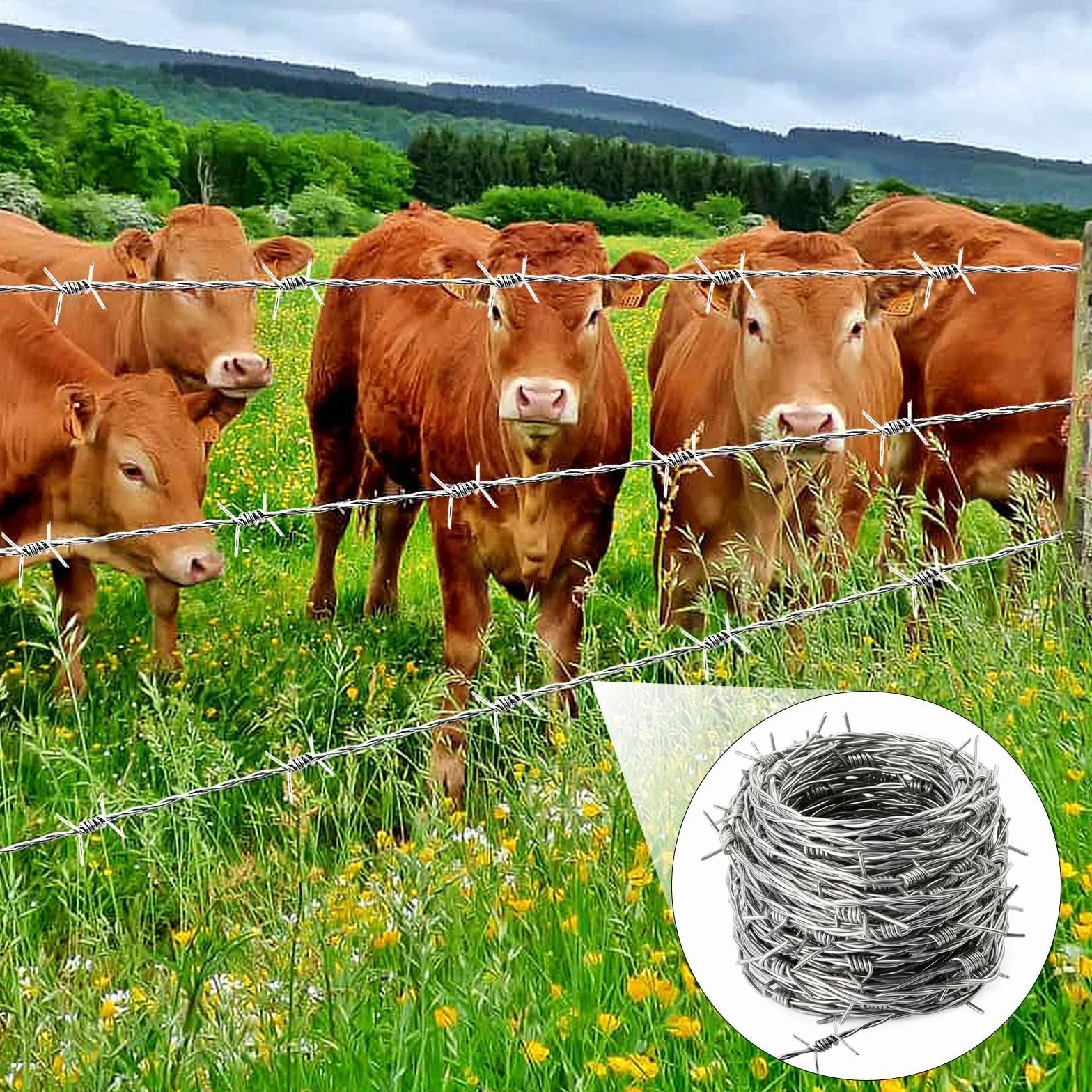 Mbsomnus Drut kolczasty 1,8 mm x 9 m, rolka z drutu kolczastego, ocynkowana ogniowo, z rękawiczkami, kolce, na pastwisko, ogrodzenie, ogrody, balkon, podwórko, ściany, DIY, rękodzieło, kij baseballowy